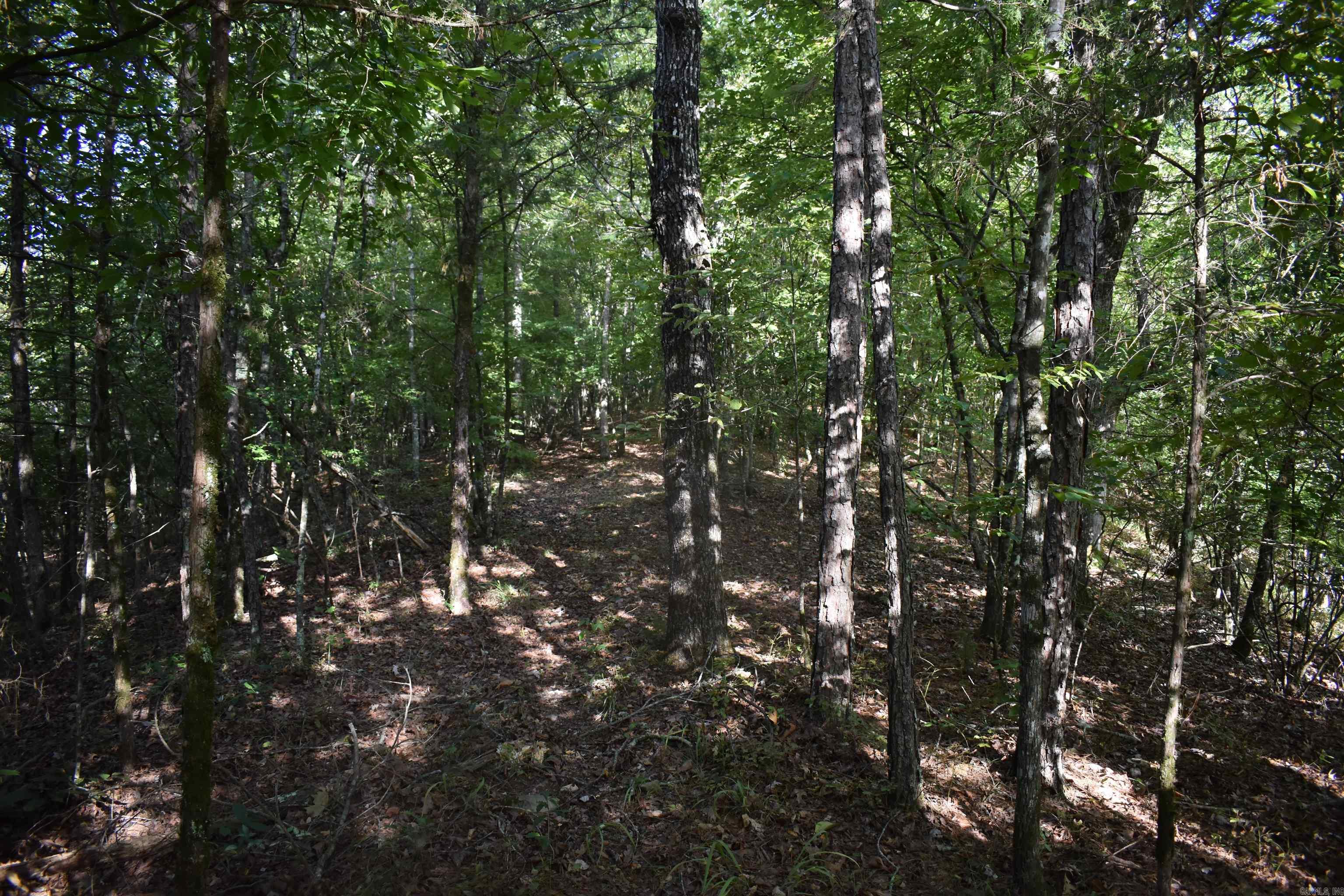 0000 Baker Rd Property Photo 35