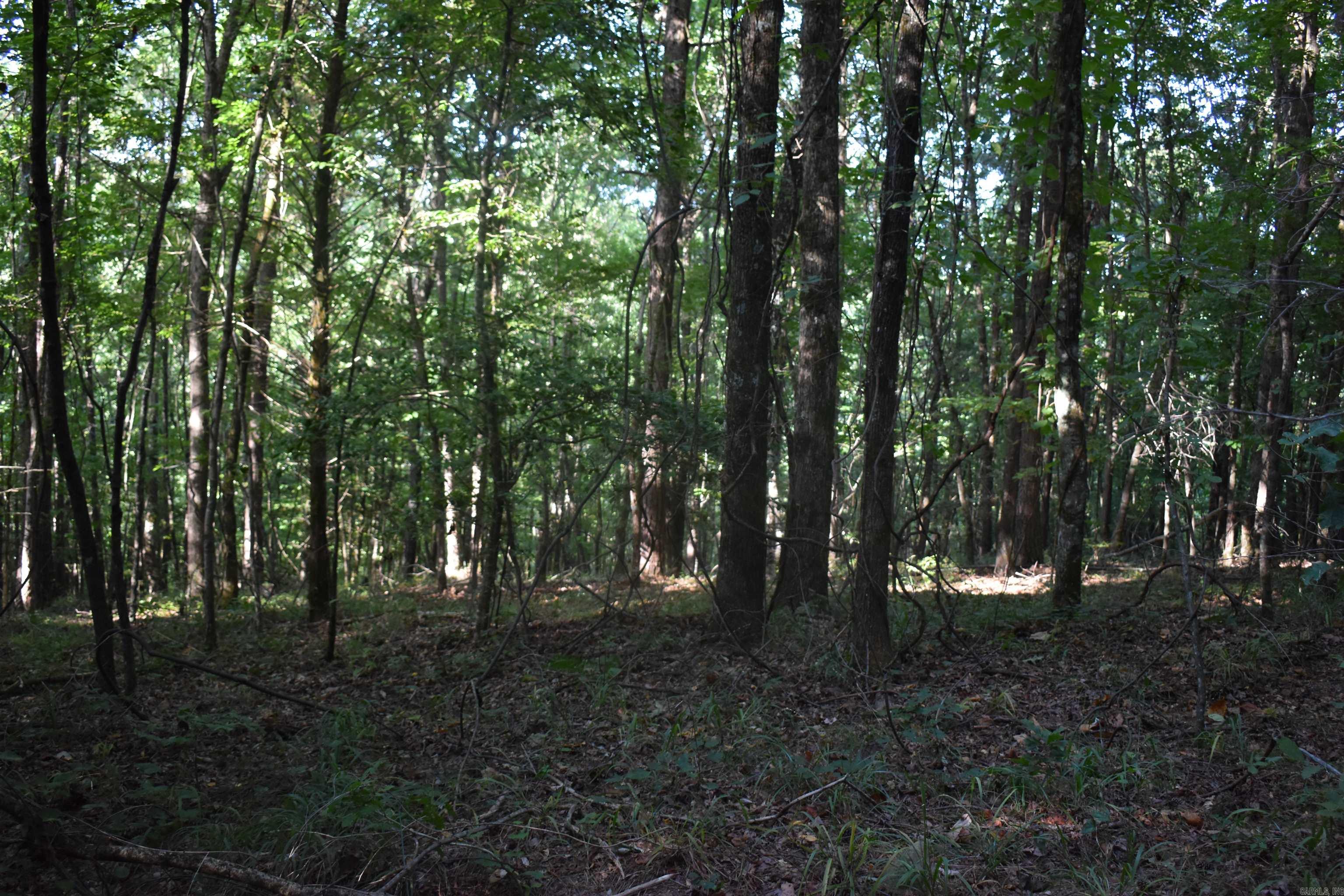 0000 Baker Rd Property Photo 38