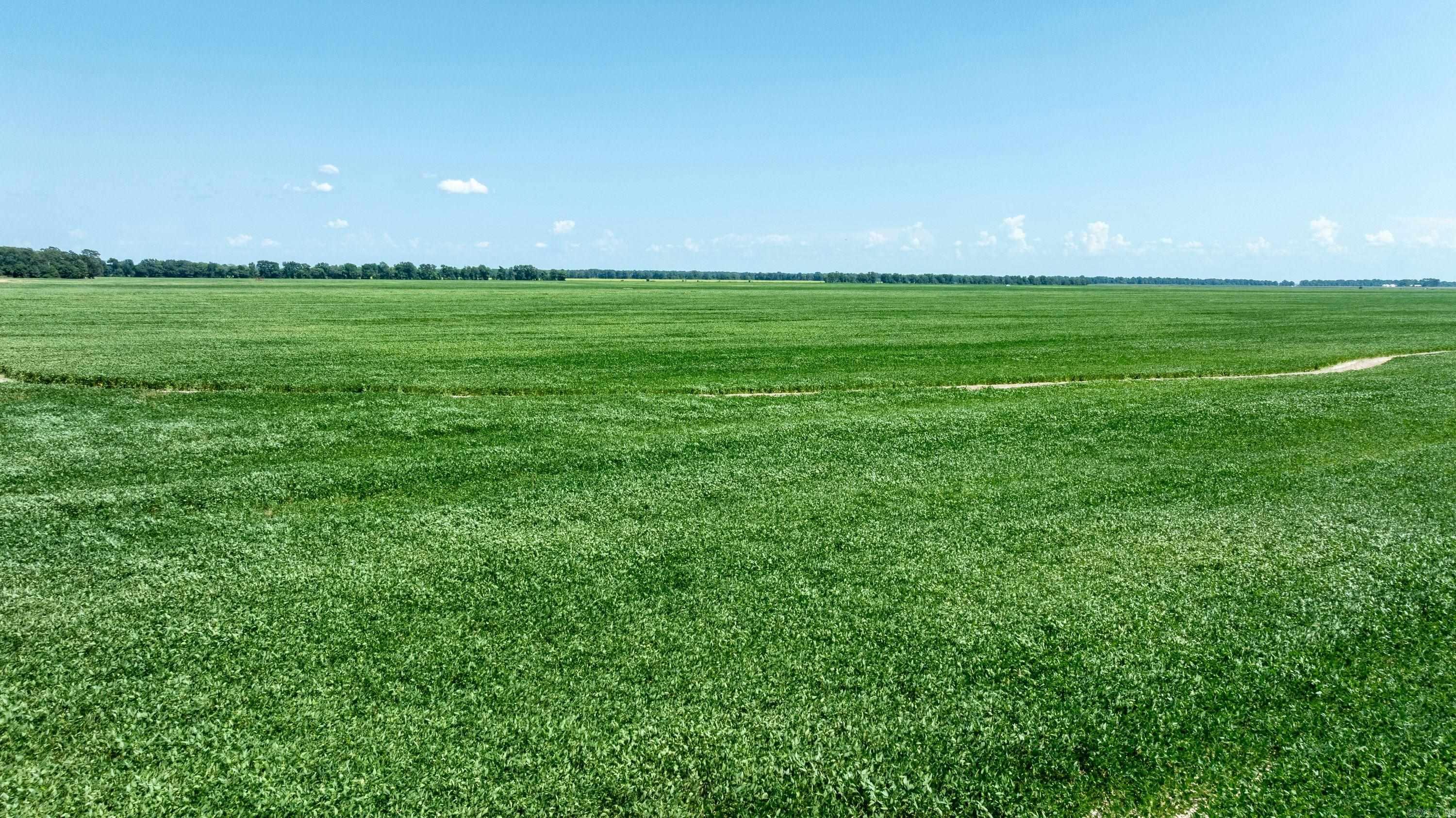 County Road 136 Property Photo 2