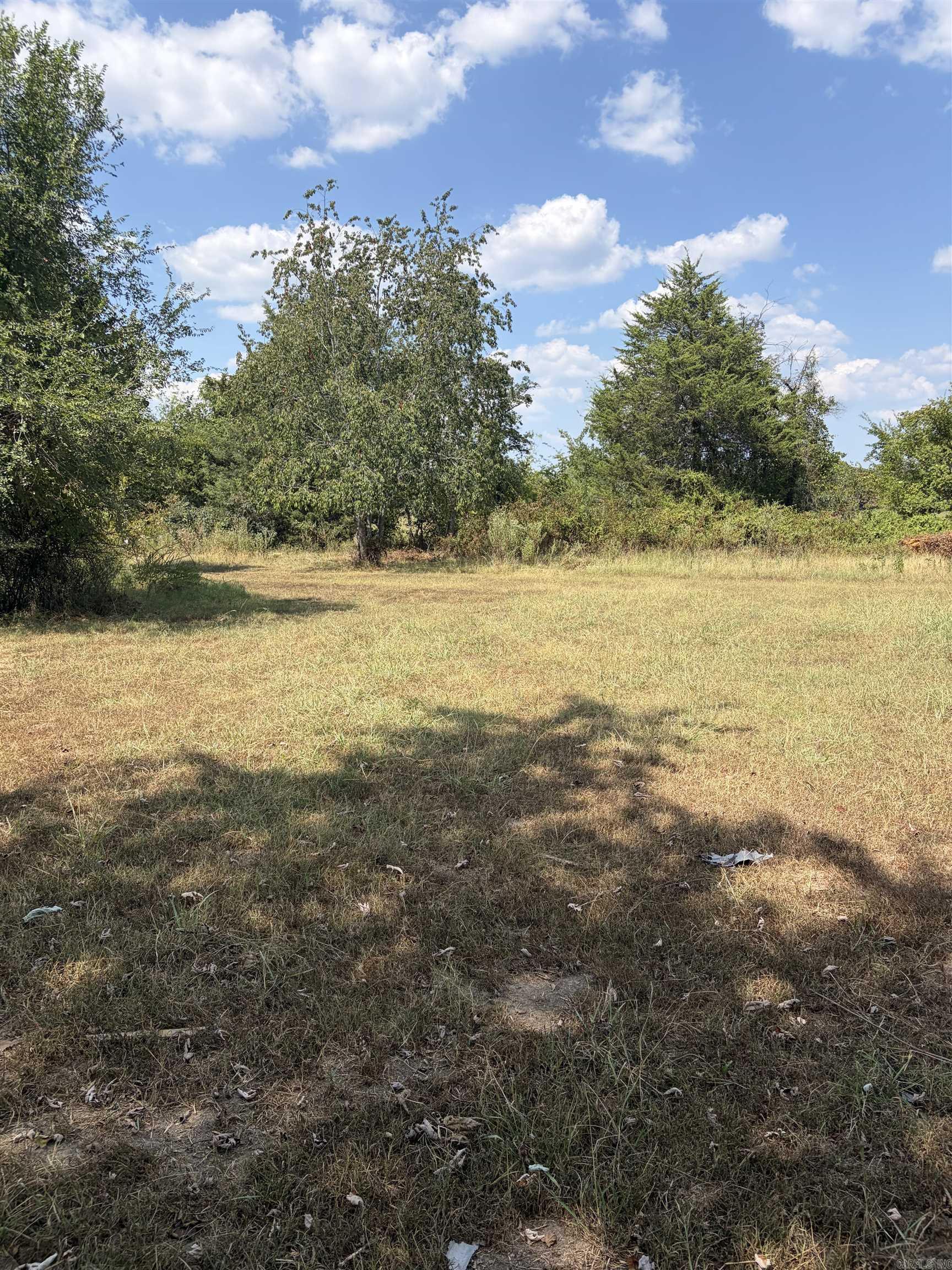 3222 Golden Star Rd Property Photo 4
