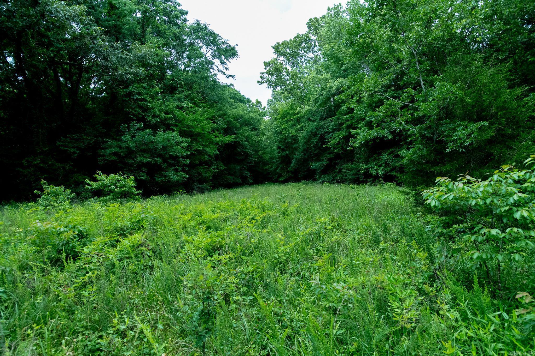 802 Silver Springs Rd Property Photo 4