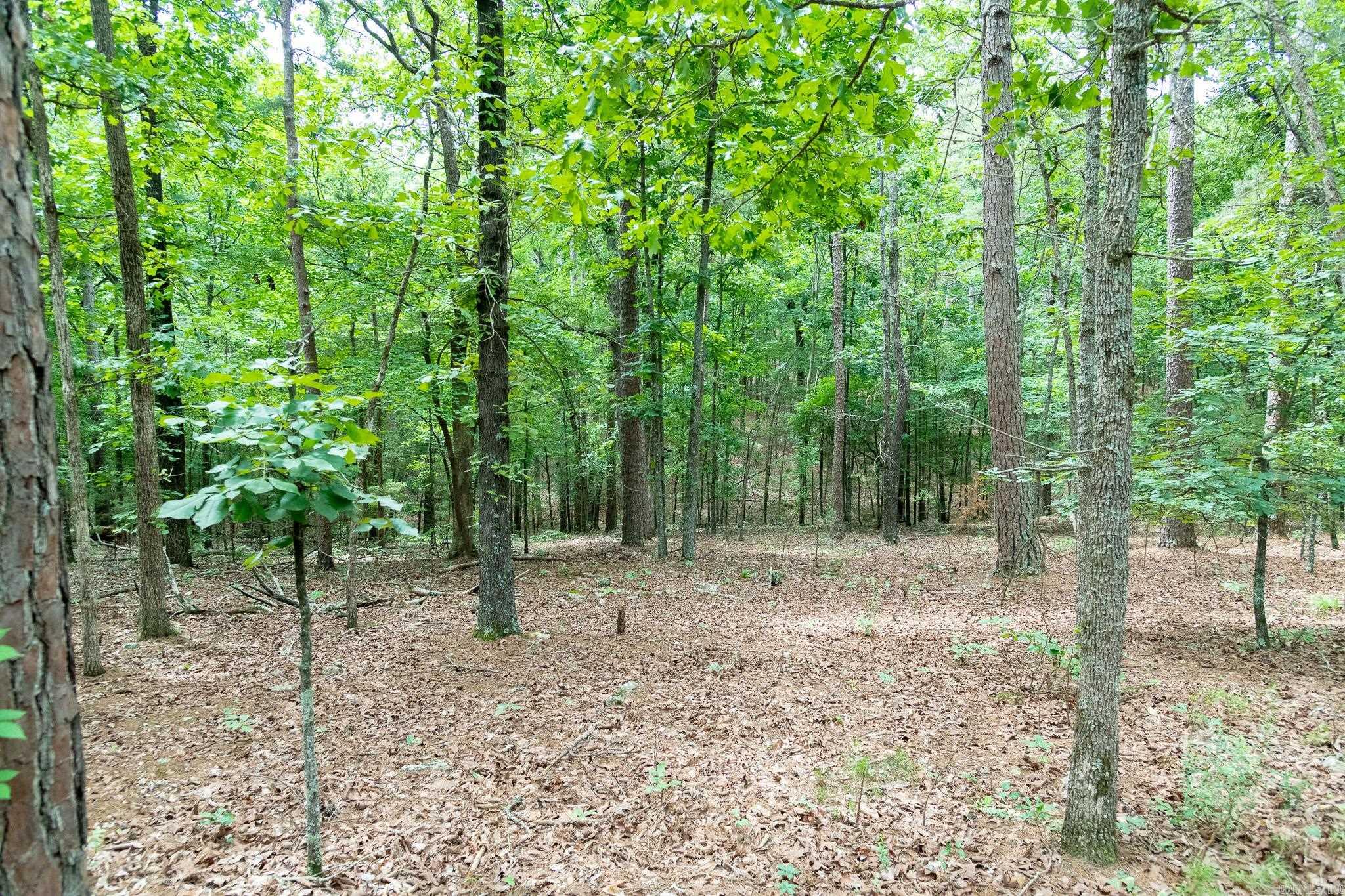 802 Silver Springs Rd Property Photo 5