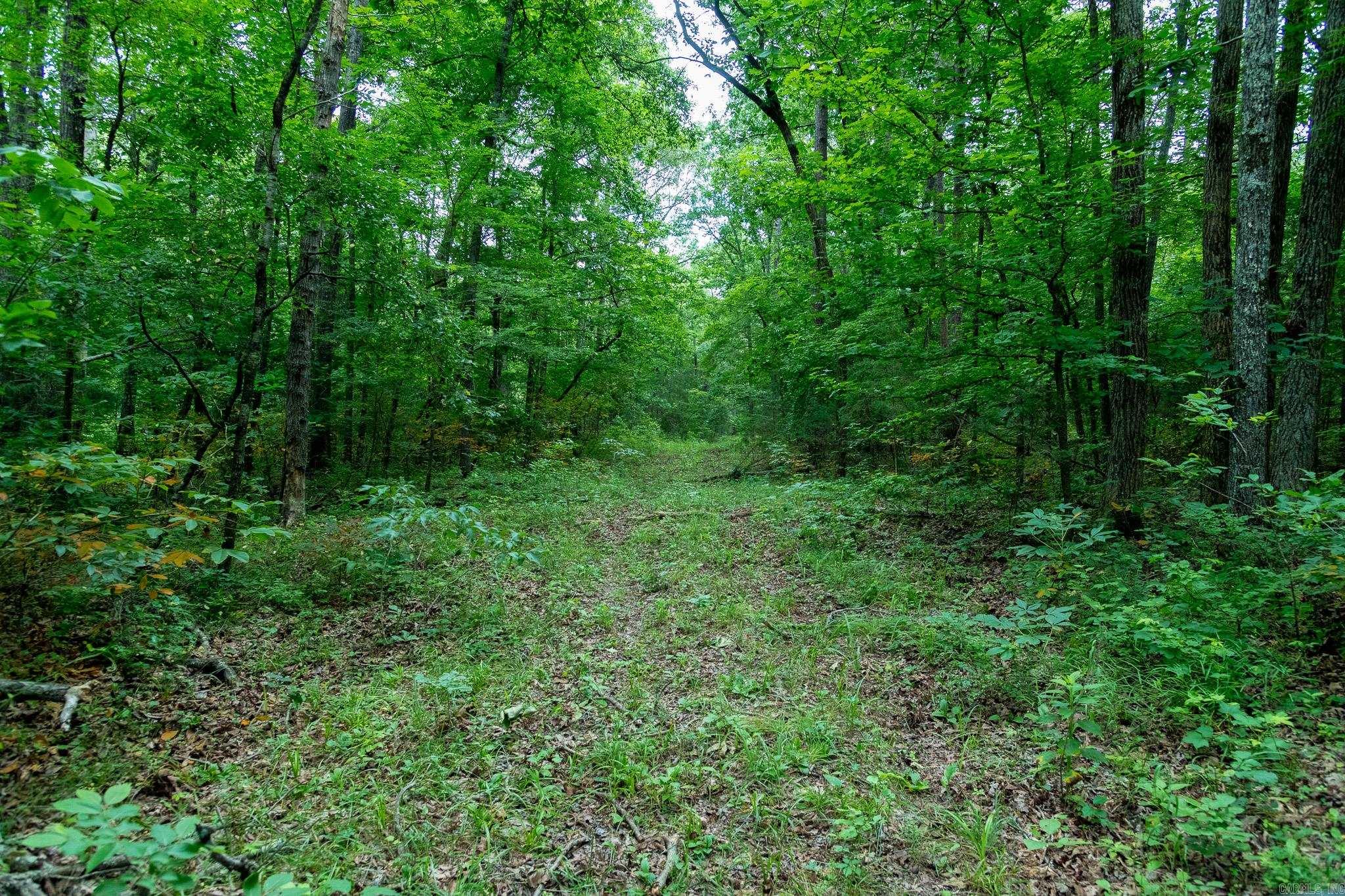 802 Silver Springs Rd Property Photo 9