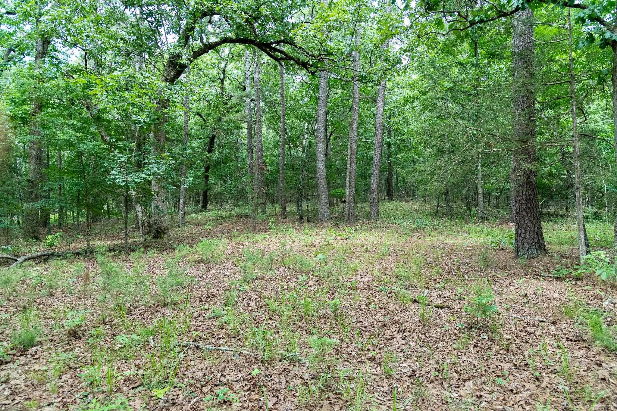 802 Silver Springs Rd Property Photo 13