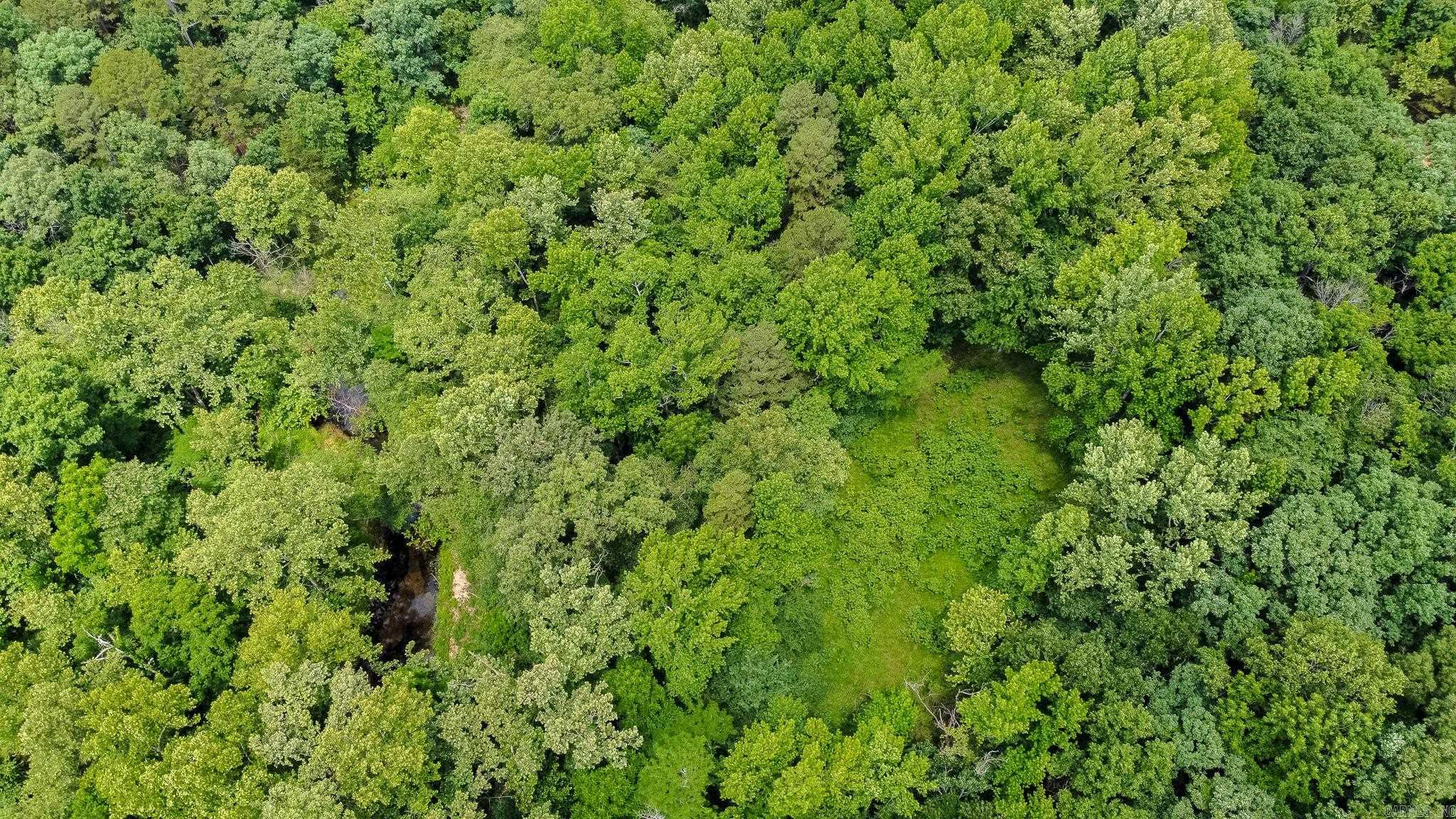 802 Silver Springs Rd Property Photo 16