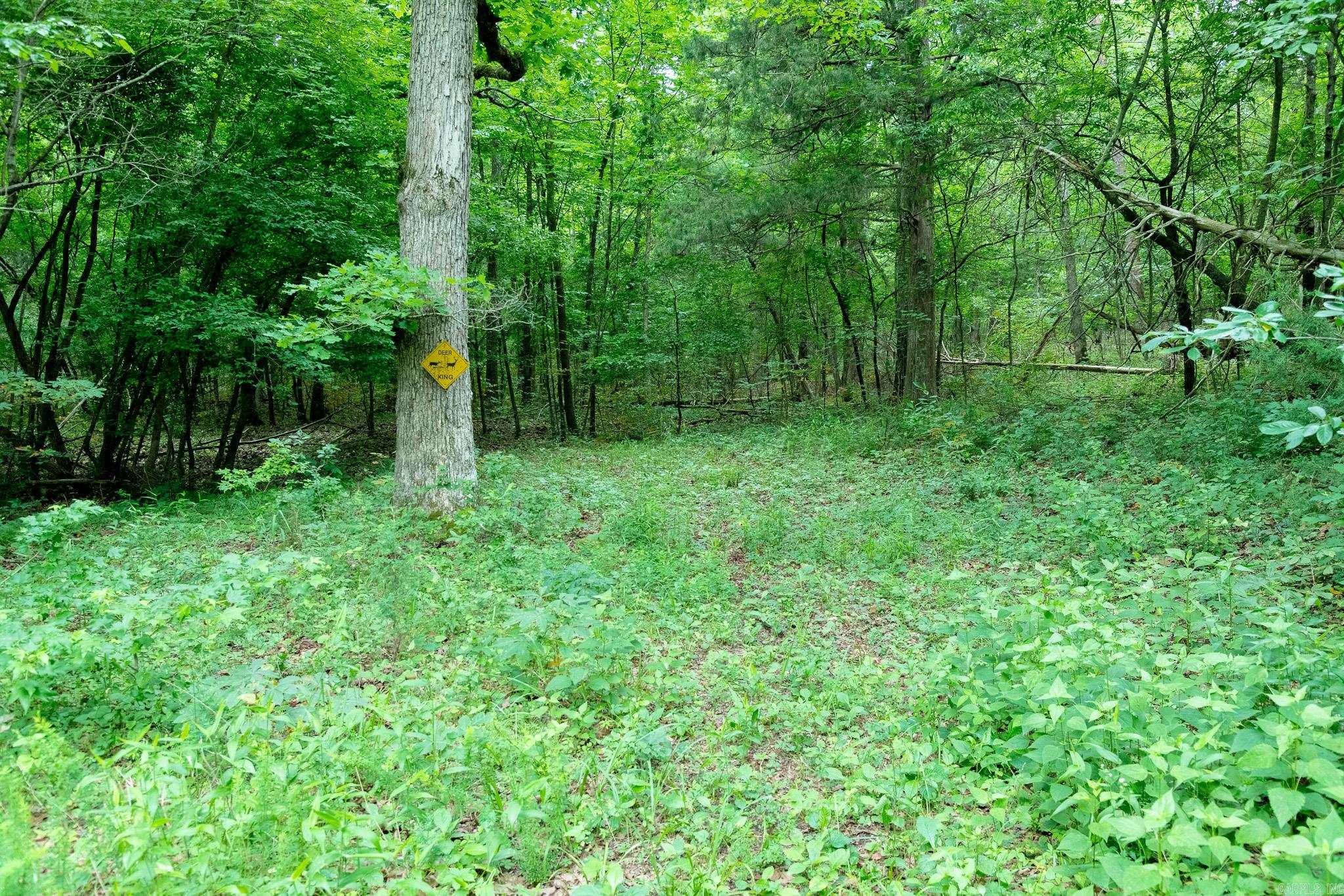 802 Silver Springs Rd Property Photo 21