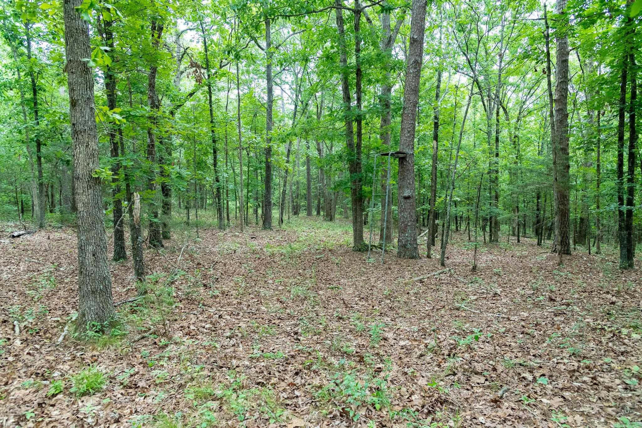 802 Silver Springs Rd Property Photo 30