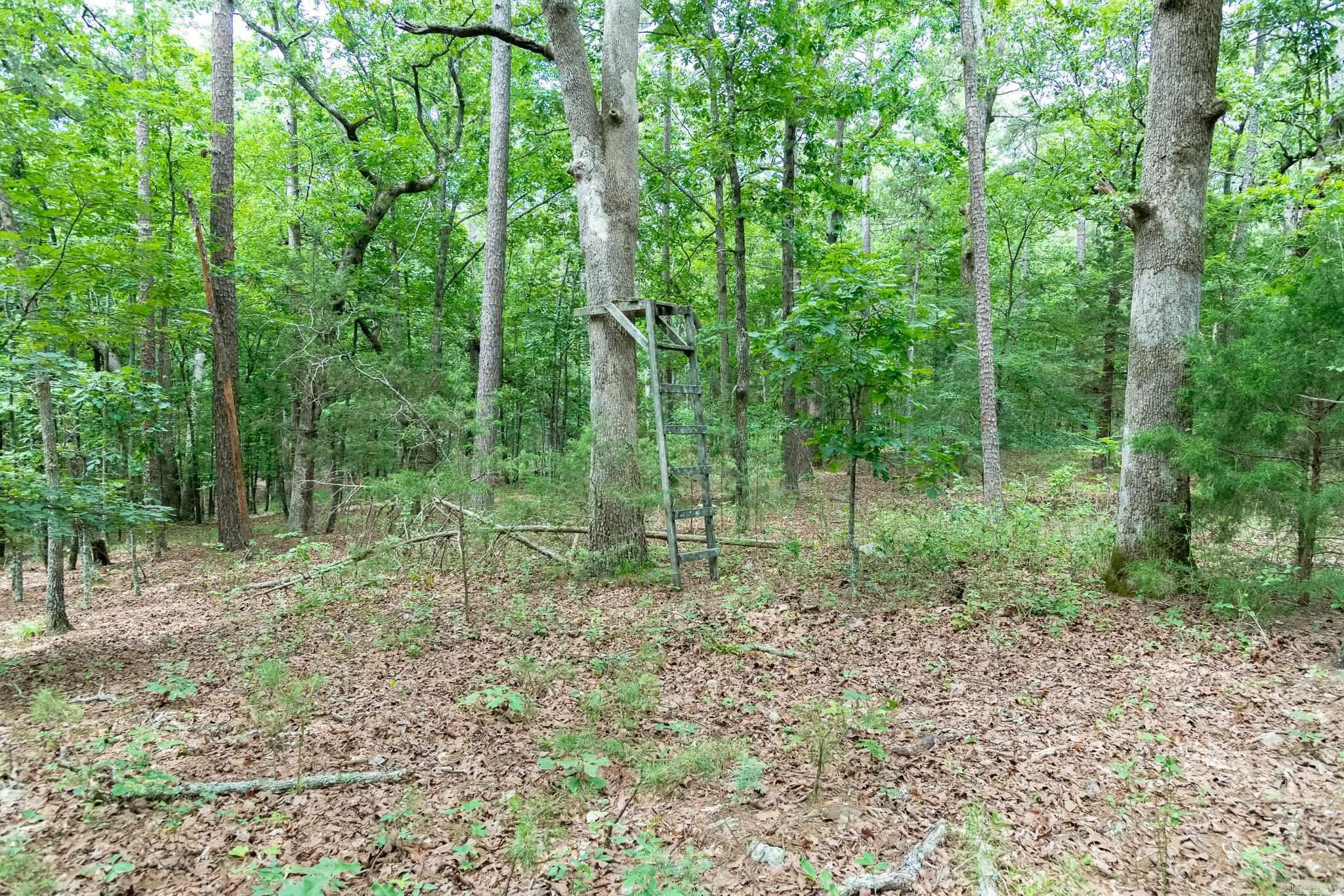 802 Silver Springs Rd Property Photo 35