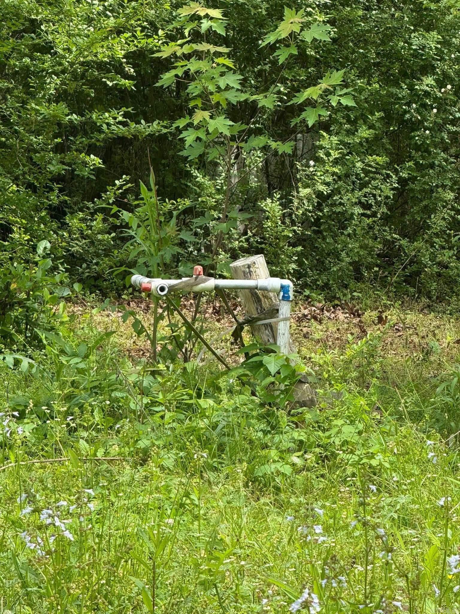 422 Hwy 16 W Property Photo 3