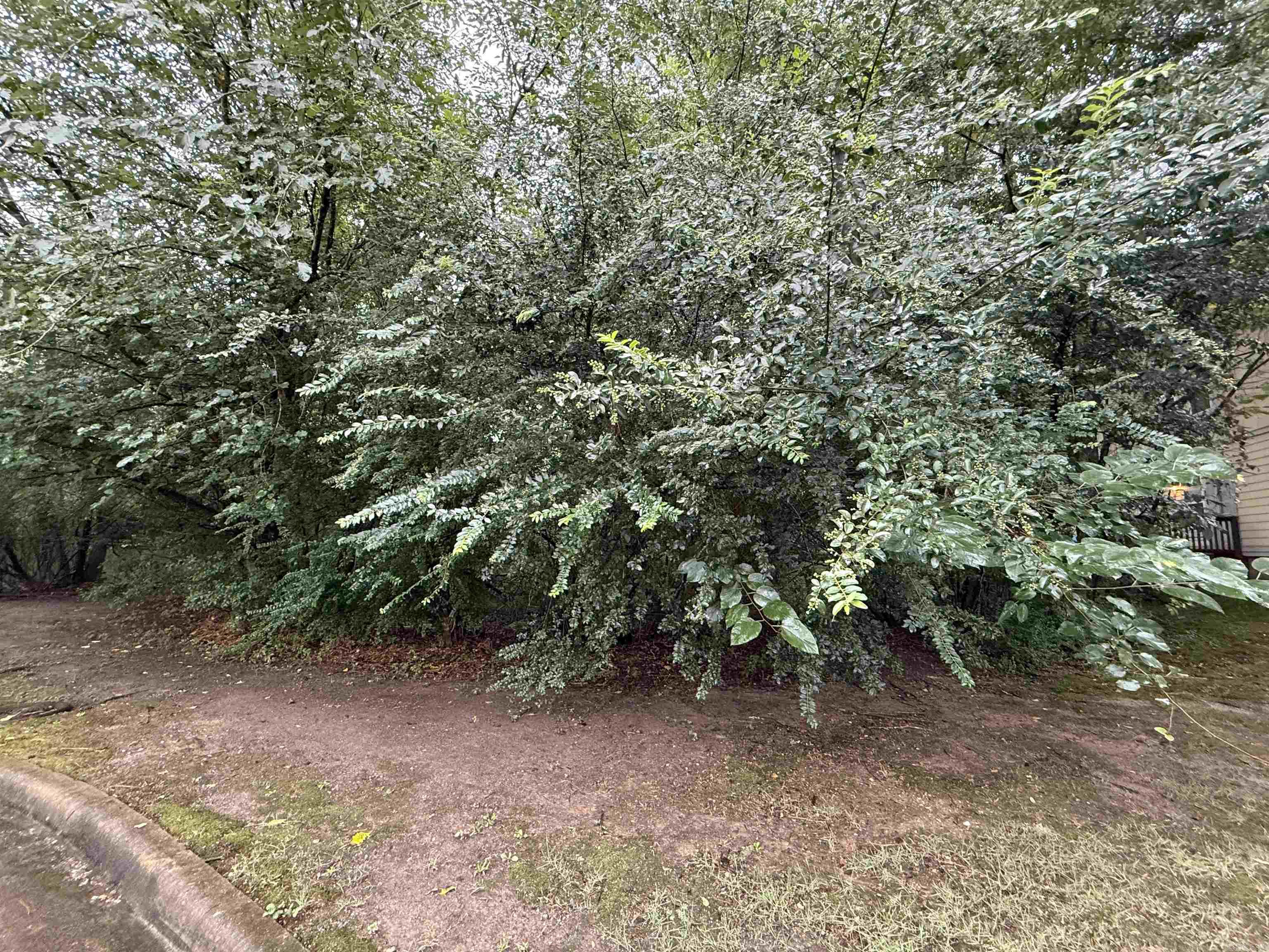 Lot 22 The Arbors At Stagecoach Village Property Photo 1
