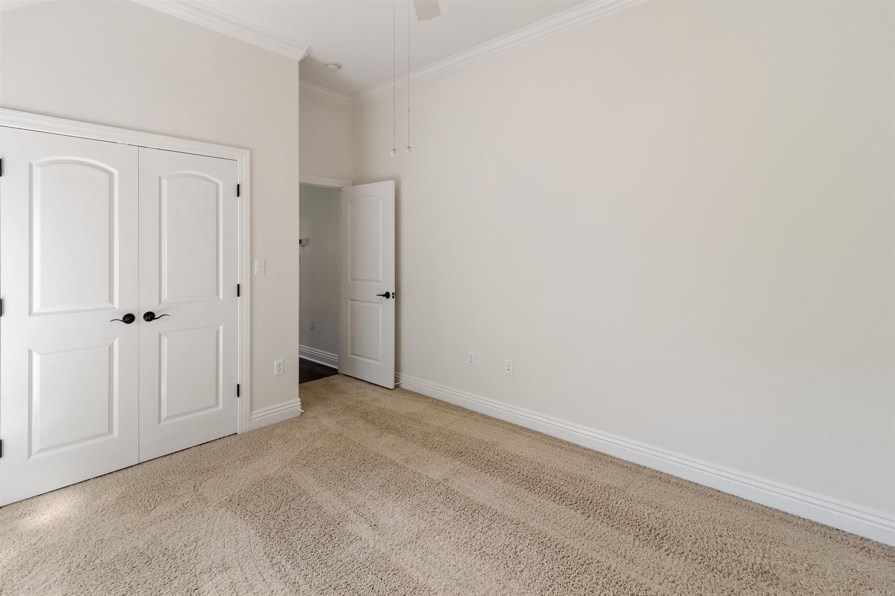 16 Dauphine Pl Property Photo 25