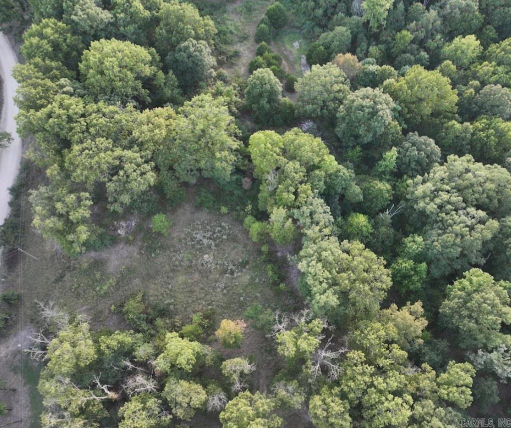 4.05 Acres Beaver Hollow Road Property Photo 2