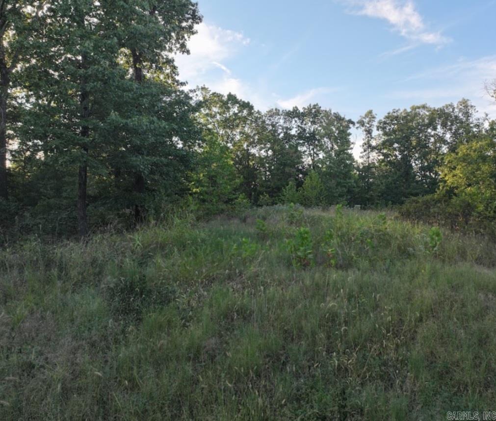 4.05 Acres Beaver Hollow Road Property Photo 3