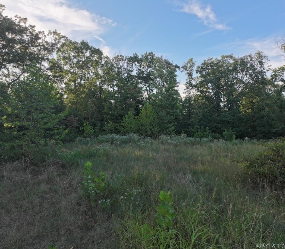 4.05 Acres Beaver Hollow Road Property Photo 4