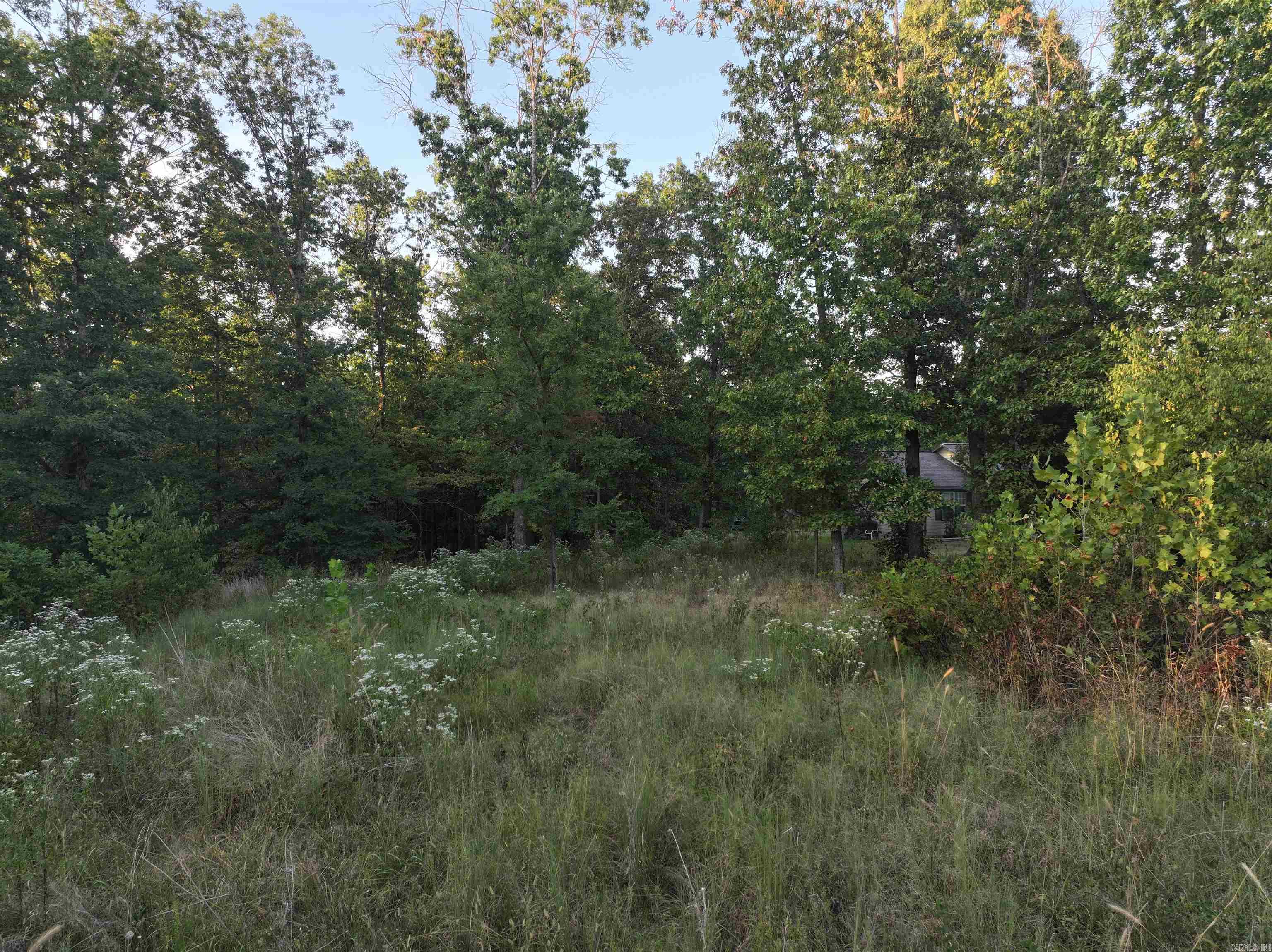 4.05 Acres Beaver Hollow Road Property Photo 5