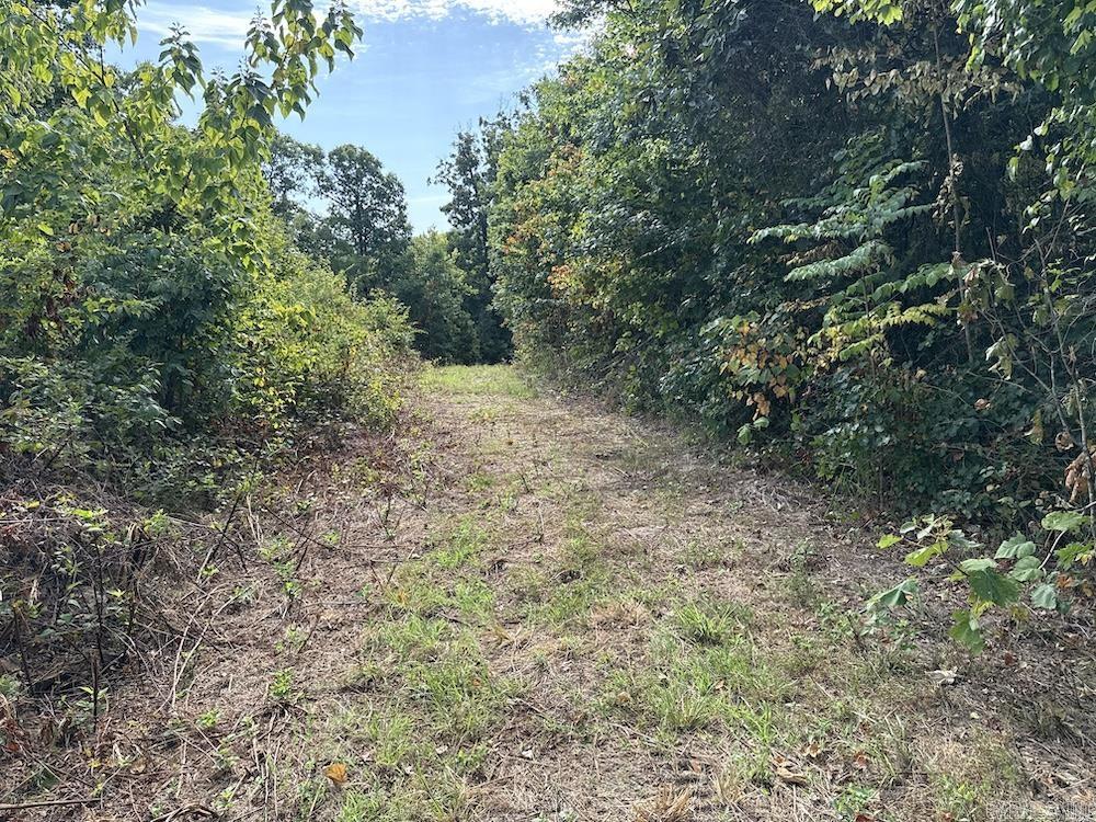 Na Property Photo 41