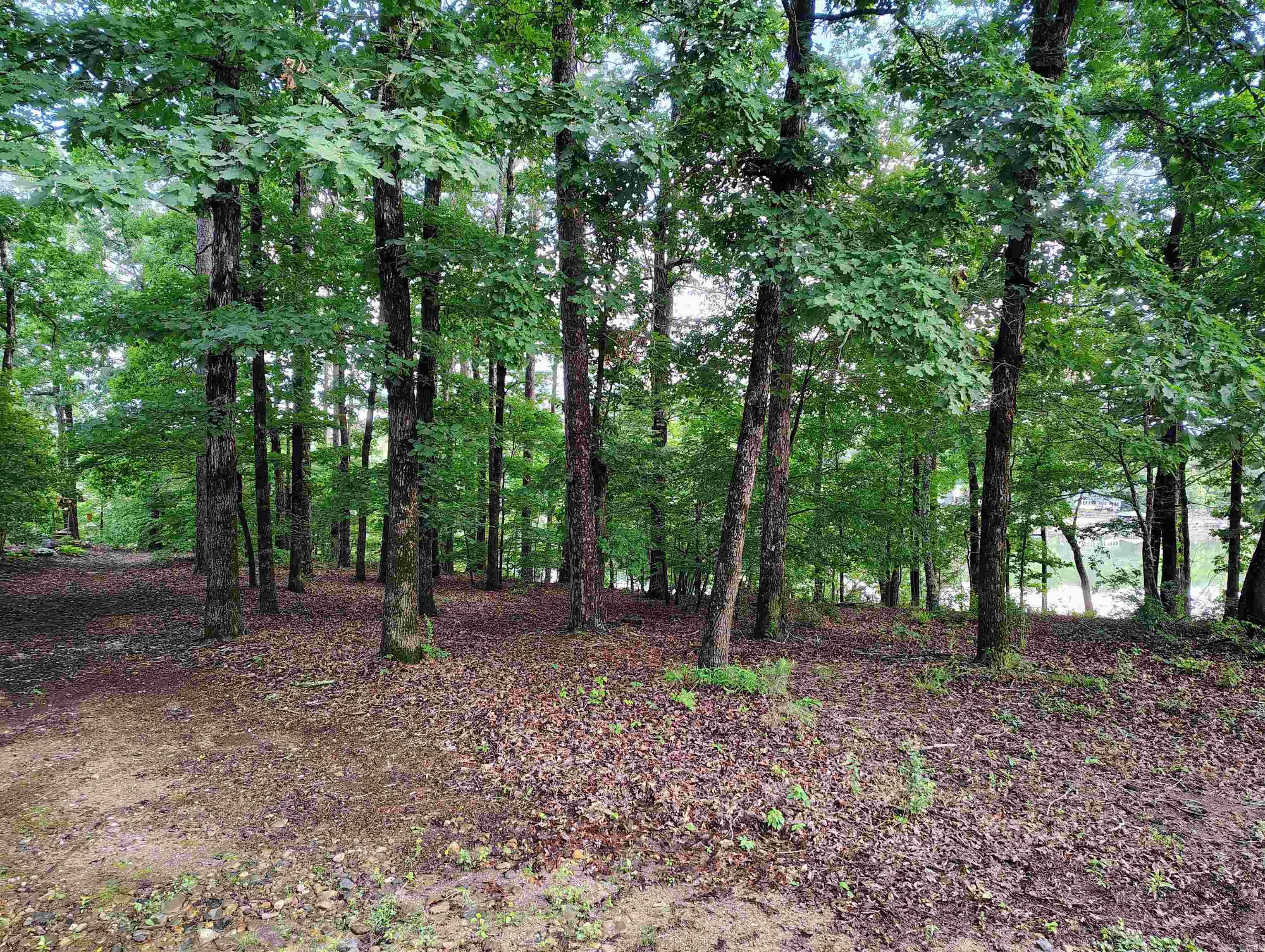 6 Sacedon Circle Property Photo 3