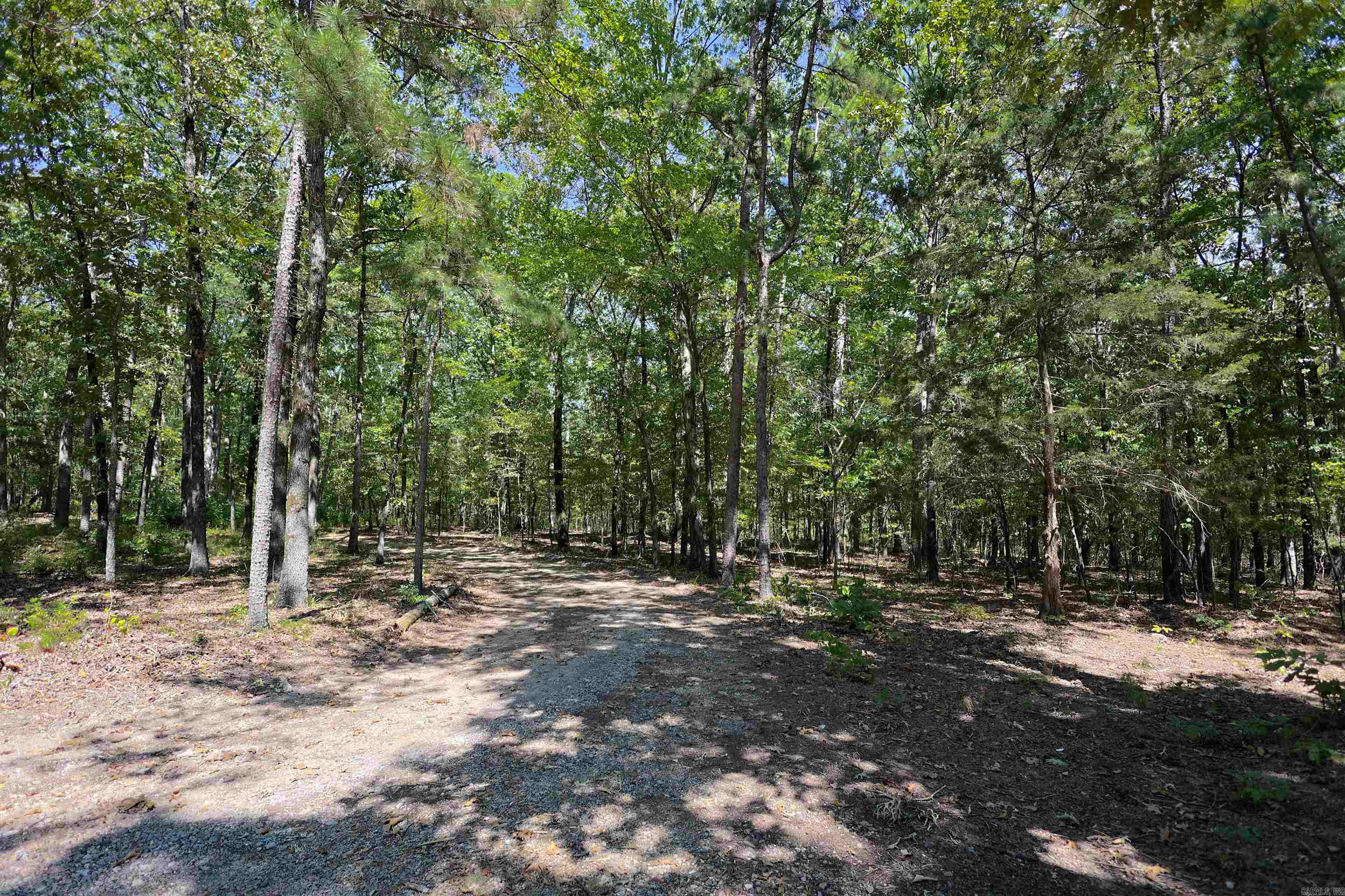 61 Hay Road Property Photo 37