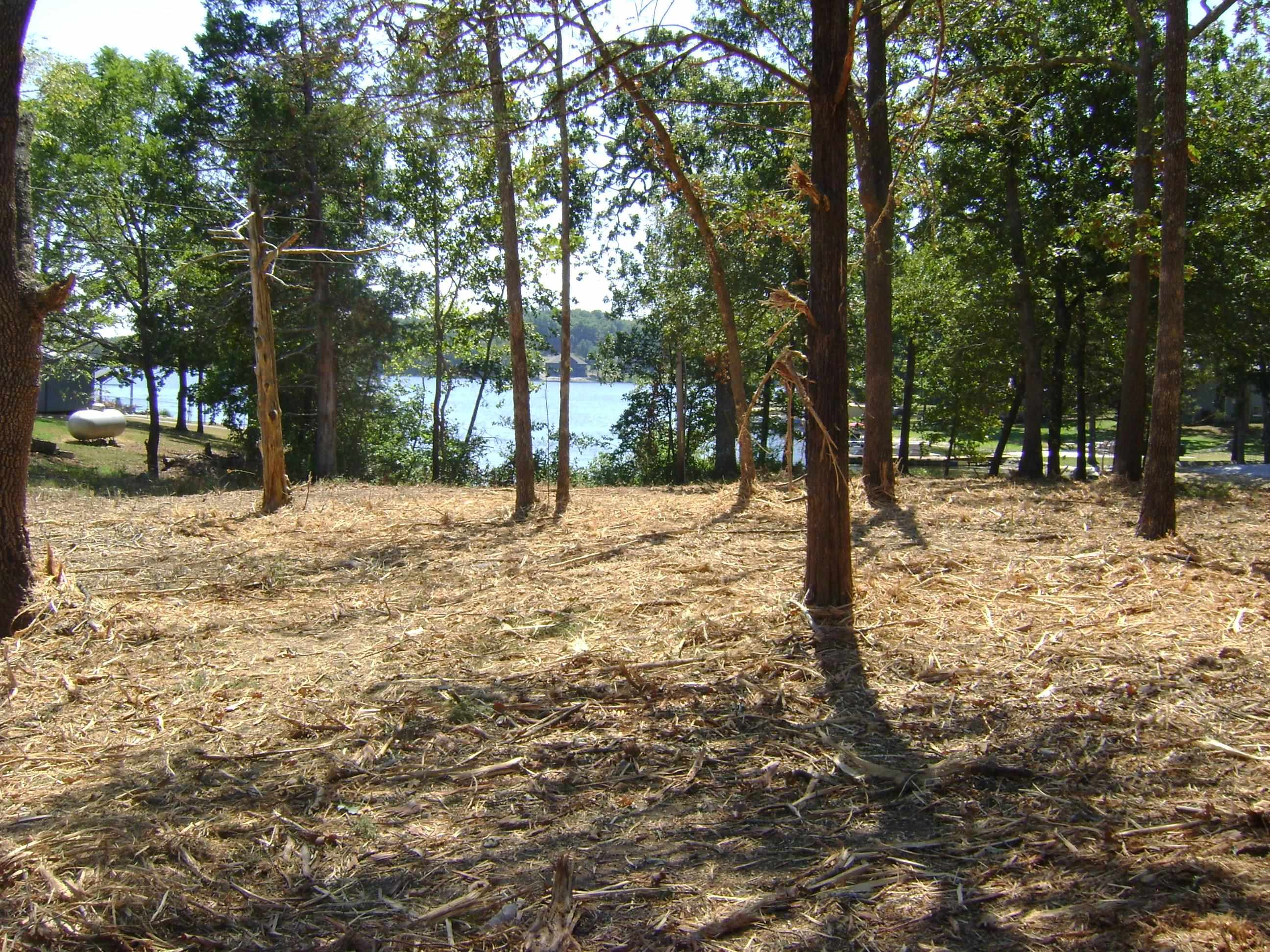 1711 Pleasant Valley Drive Property Photo 6