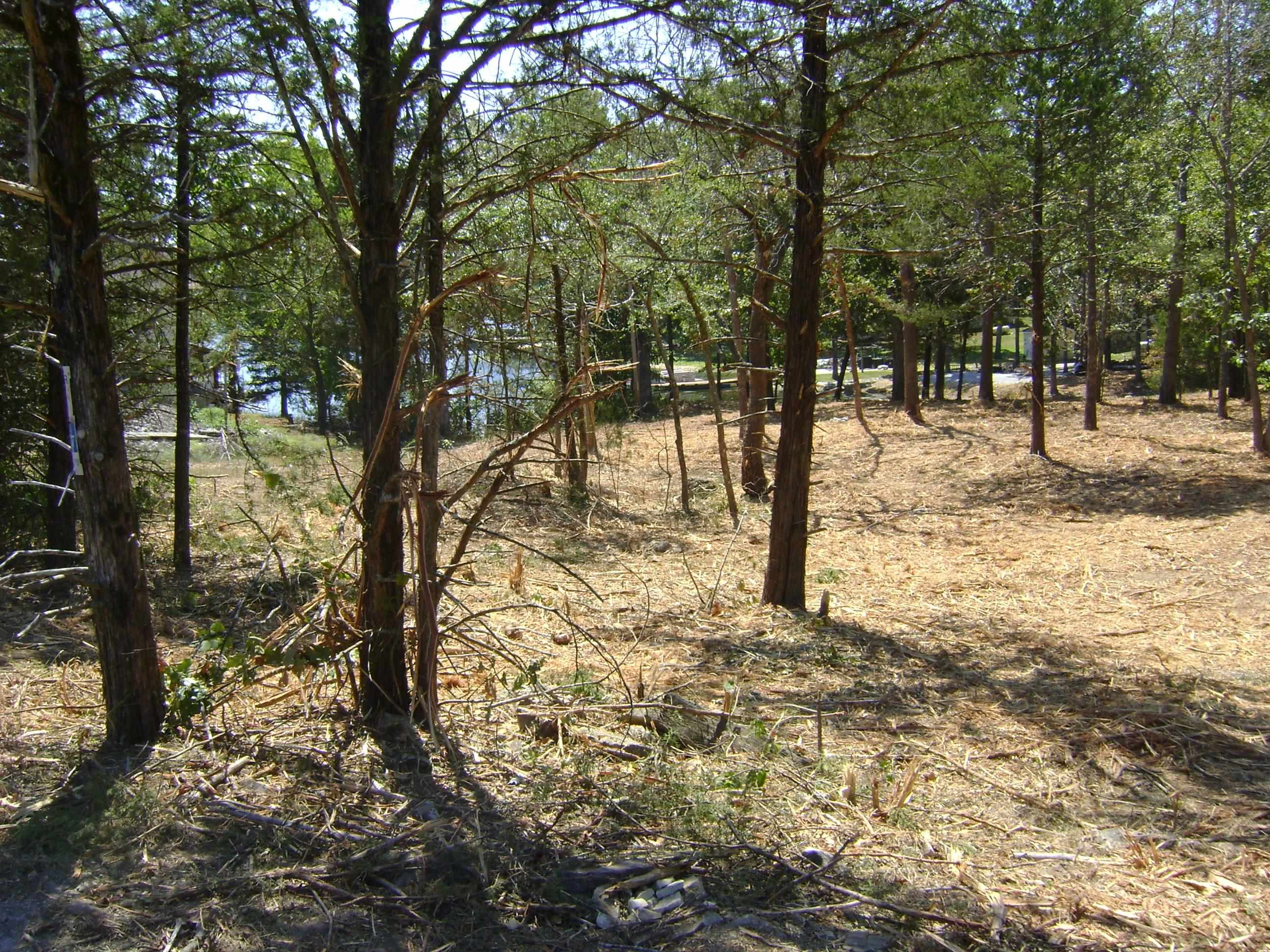 1711 Pleasant Valley Drive Property Photo 9