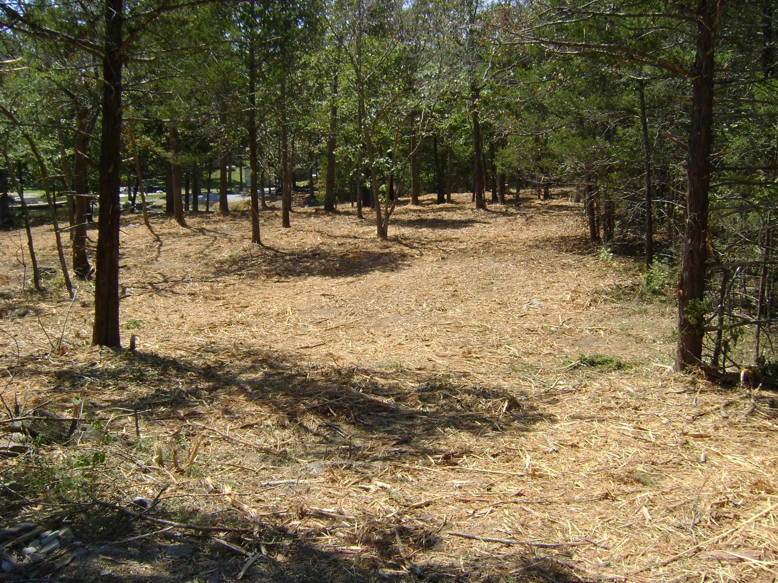 1711 Pleasant Valley Drive Property Photo 10