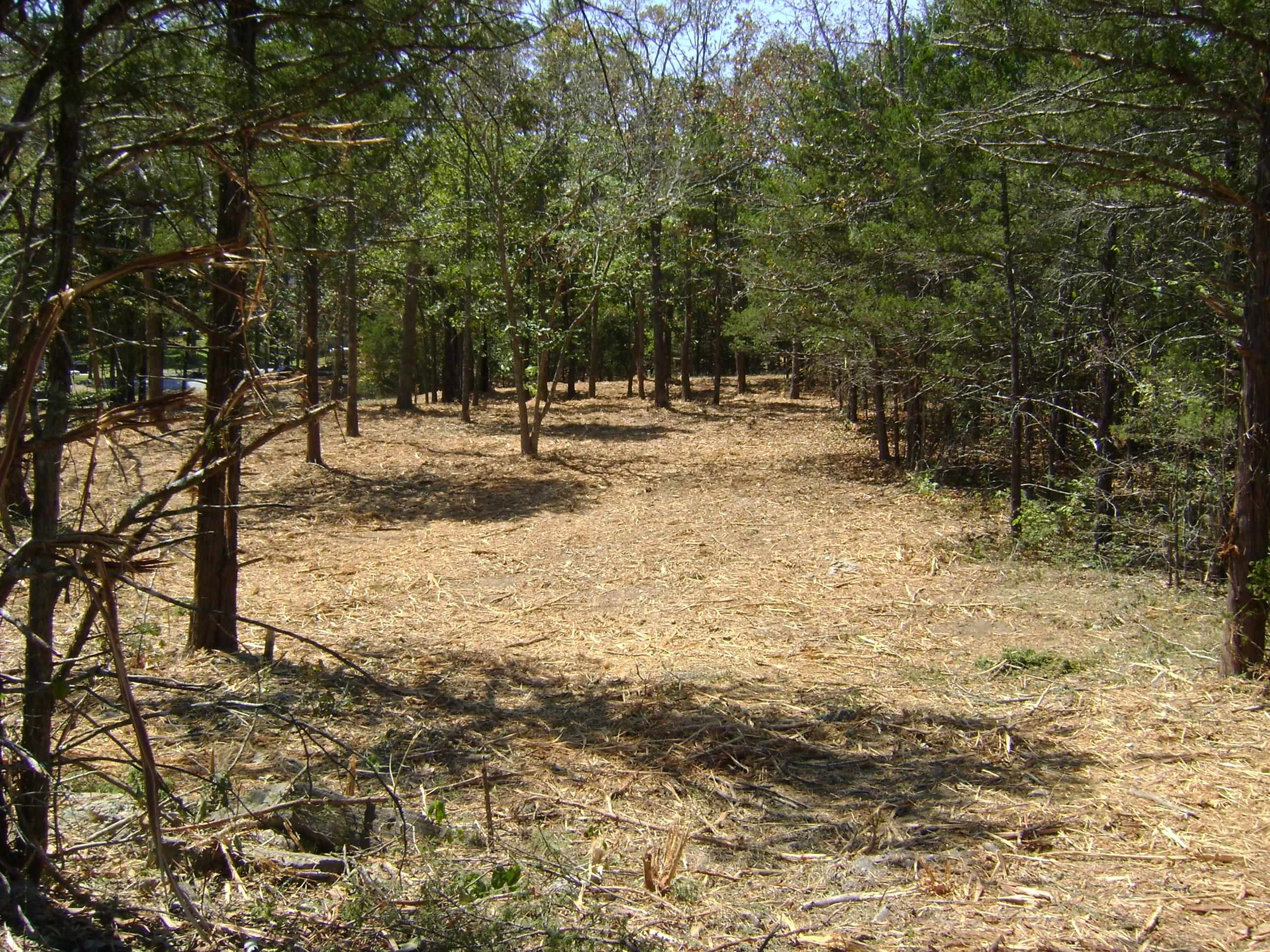1711 Pleasant Valley Drive Property Photo 11