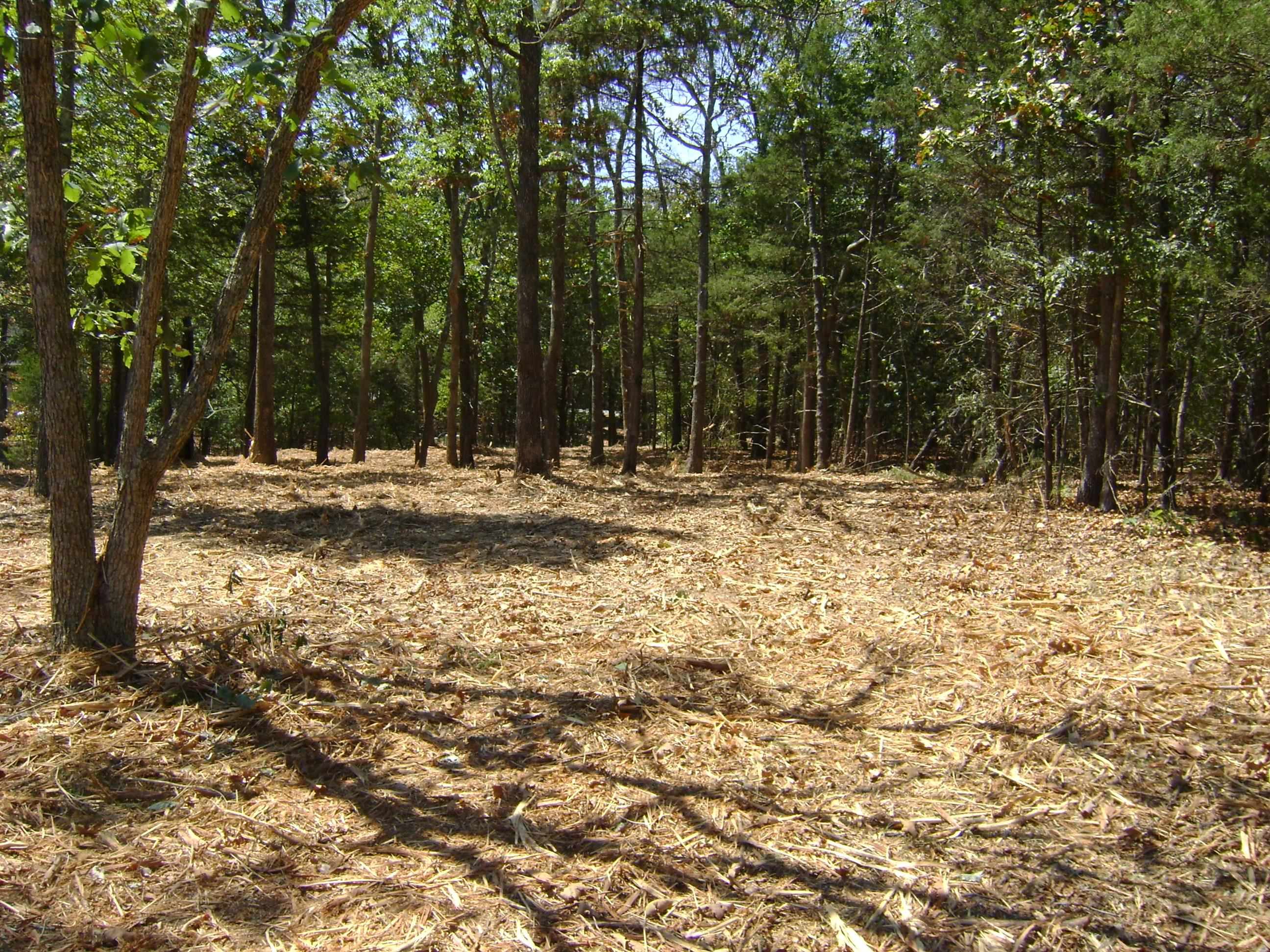 1711 Pleasant Valley Drive Property Photo 12