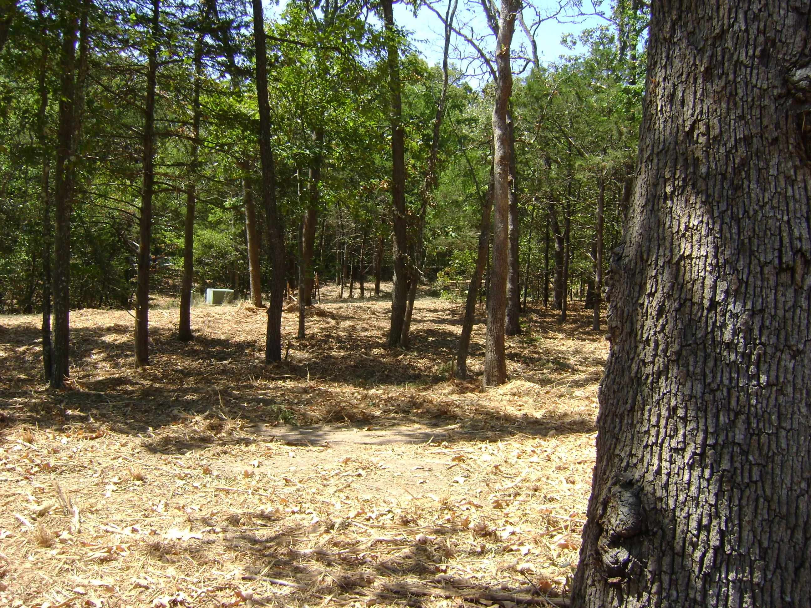 1711 Pleasant Valley Drive Property Photo 13