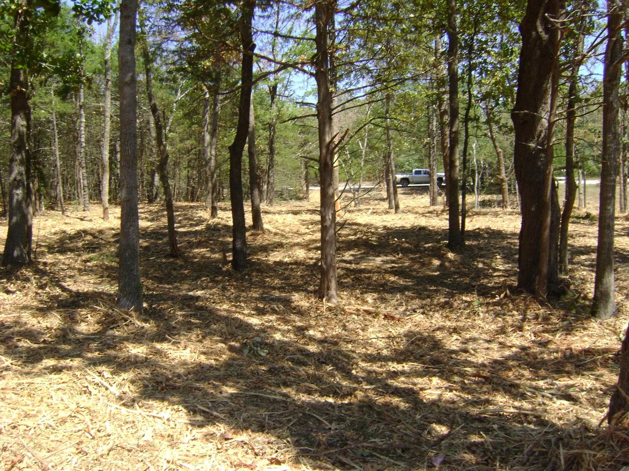1711 Pleasant Valley Drive Property Photo 14