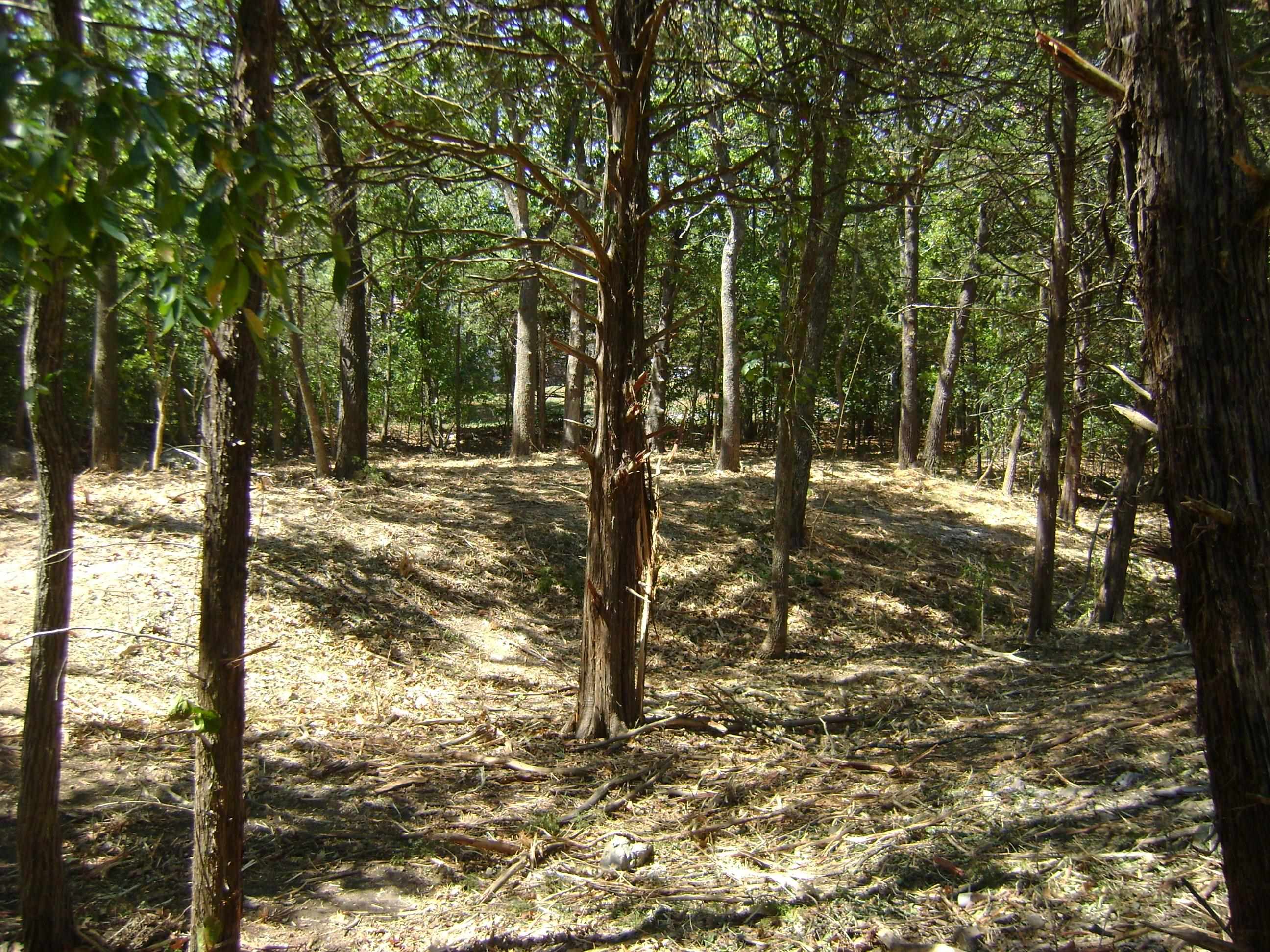 1711 Pleasant Valley Drive Property Photo 17