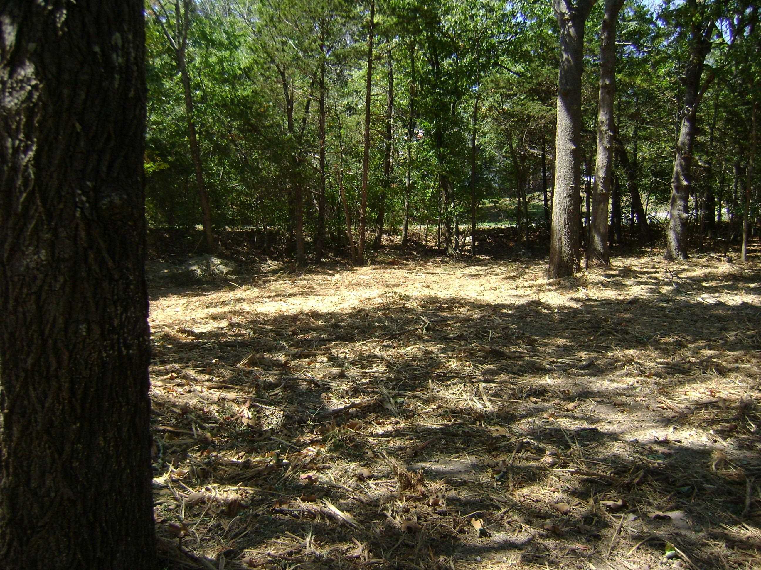 1711 Pleasant Valley Drive Property Photo 18