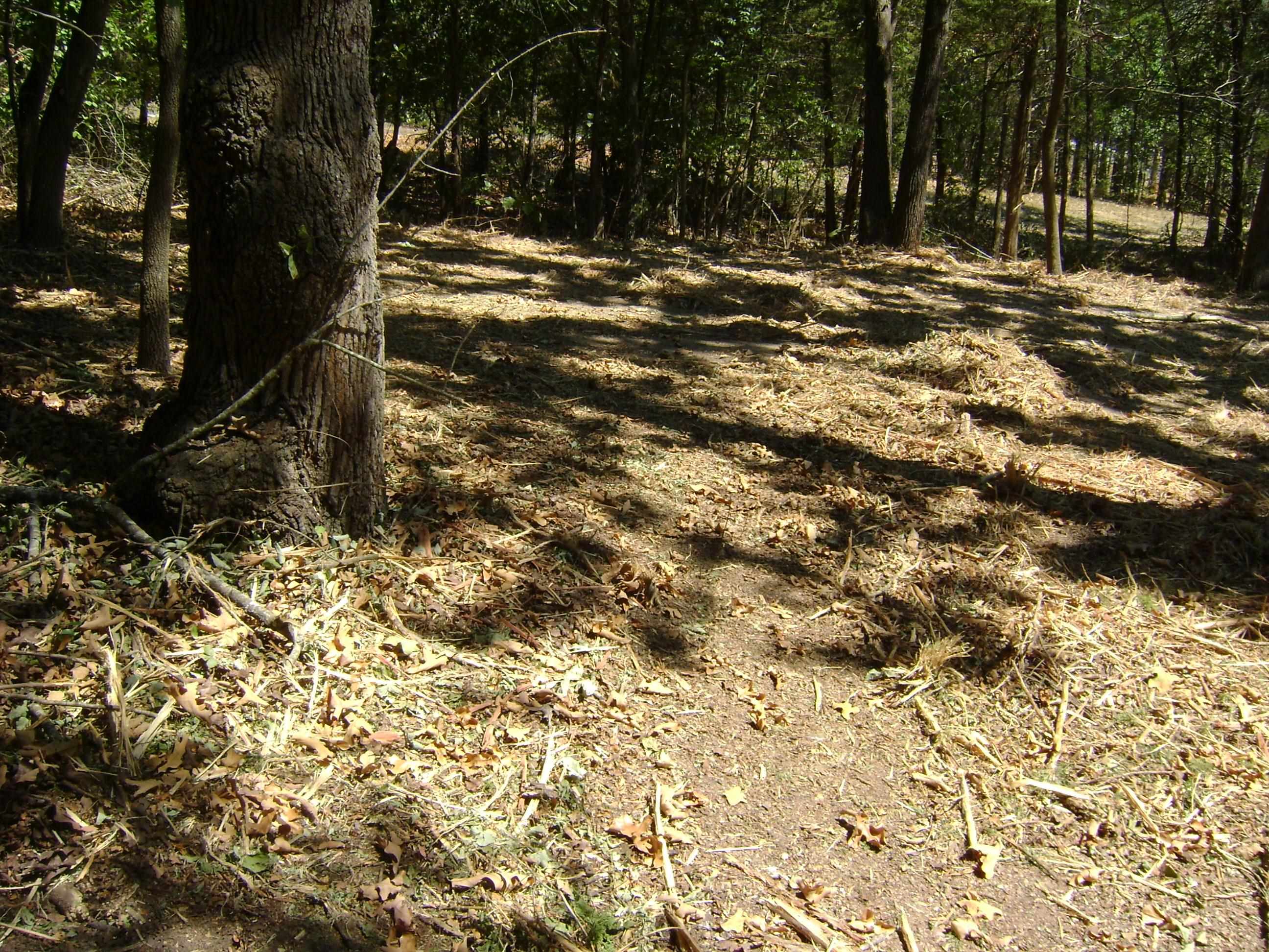 1711 Pleasant Valley Drive Property Photo 19