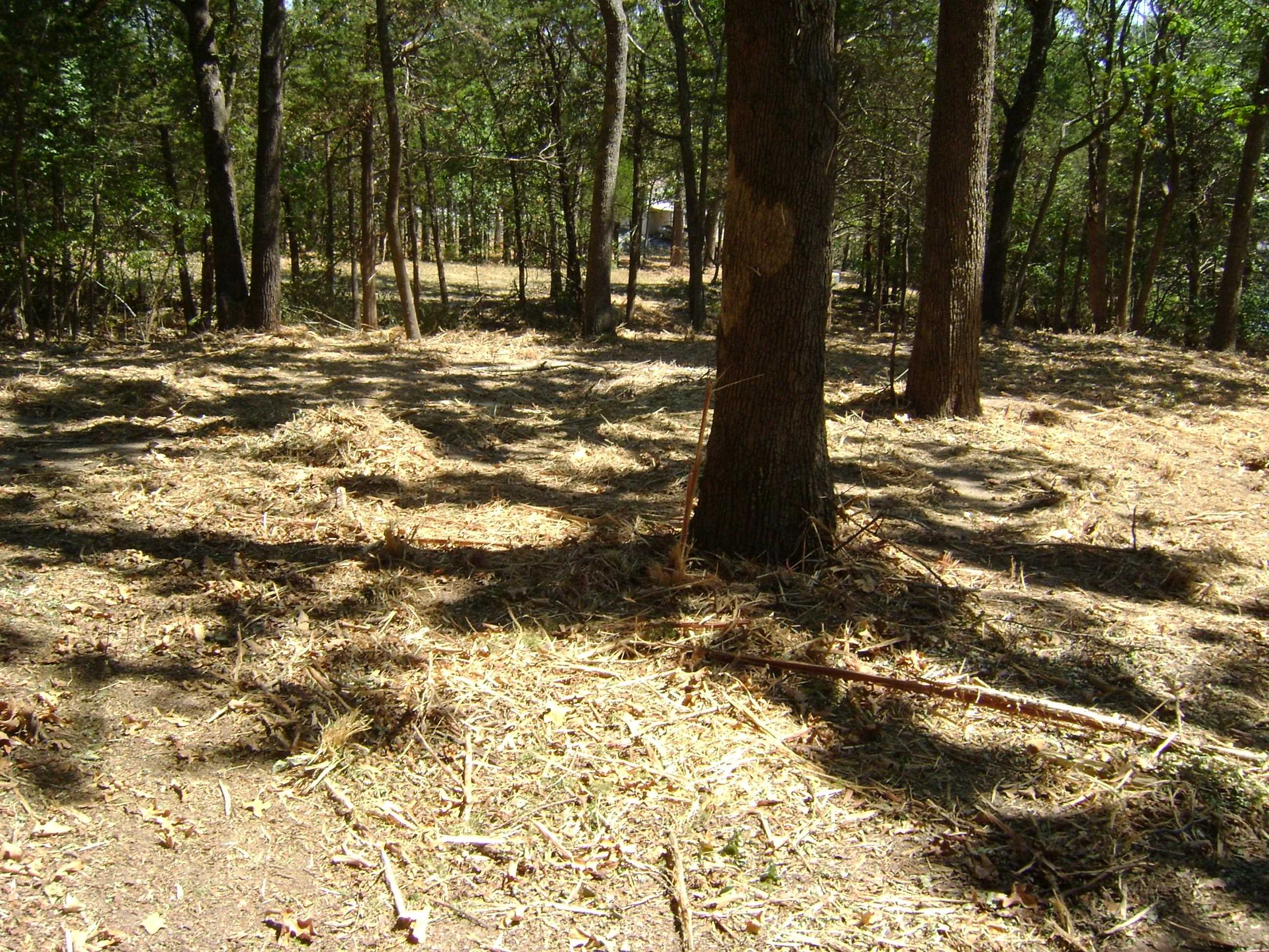 1711 Pleasant Valley Drive Property Photo 20