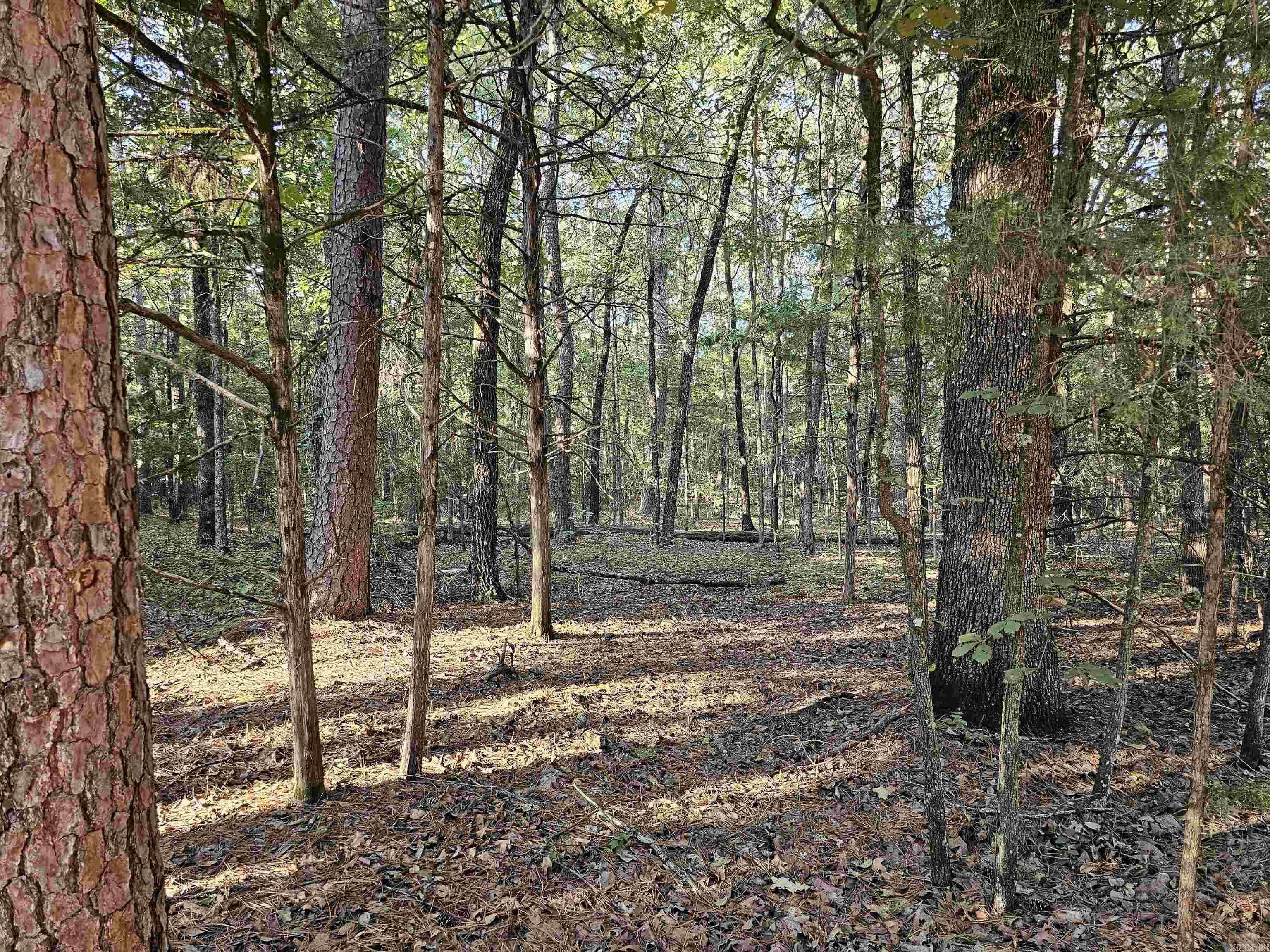 Lot 43 Pleasant Ridge Road Property Photo 1