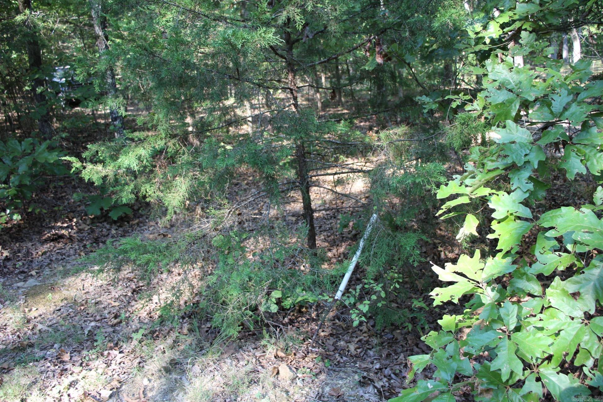 Lot 38 Jeb Road Property Photo 1