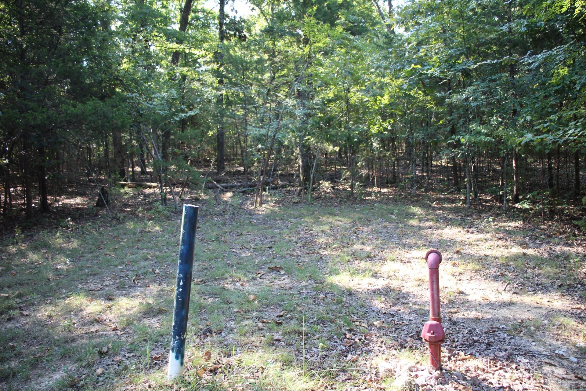 Lot 38 Jeb Road Property Photo 2