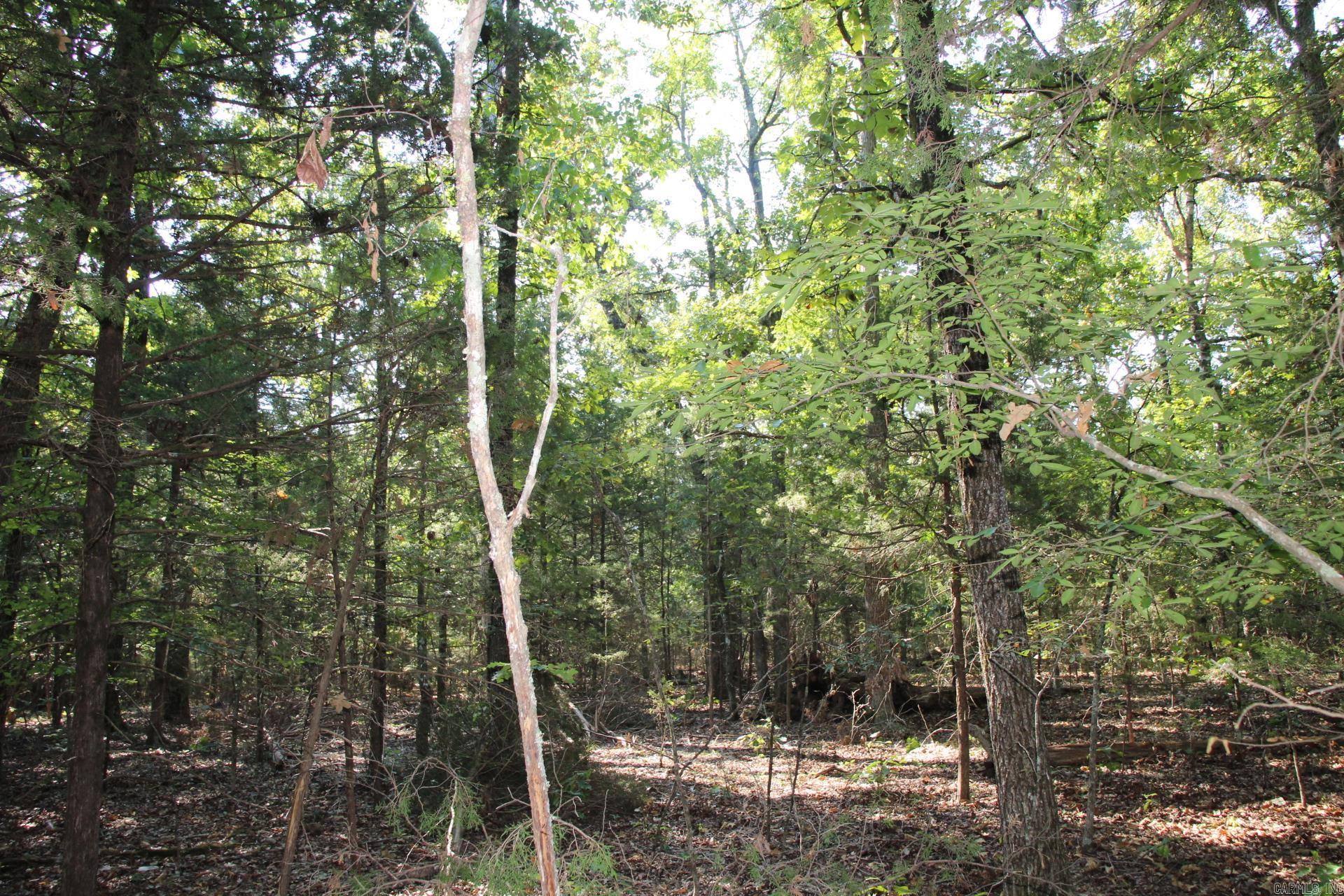 Lot 38 Jeb Road Property Photo 3