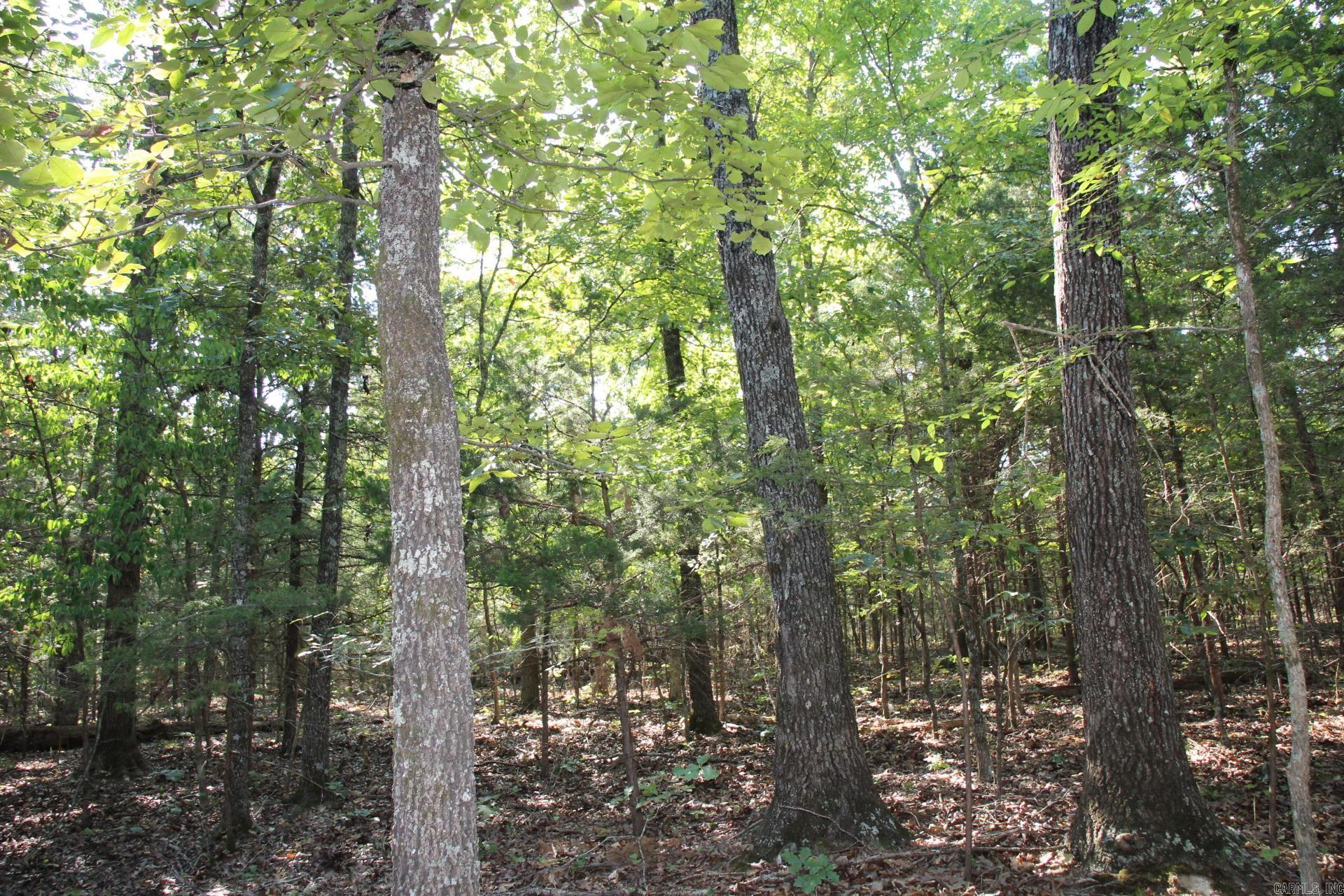Lot 38 Jeb Road Property Photo 4