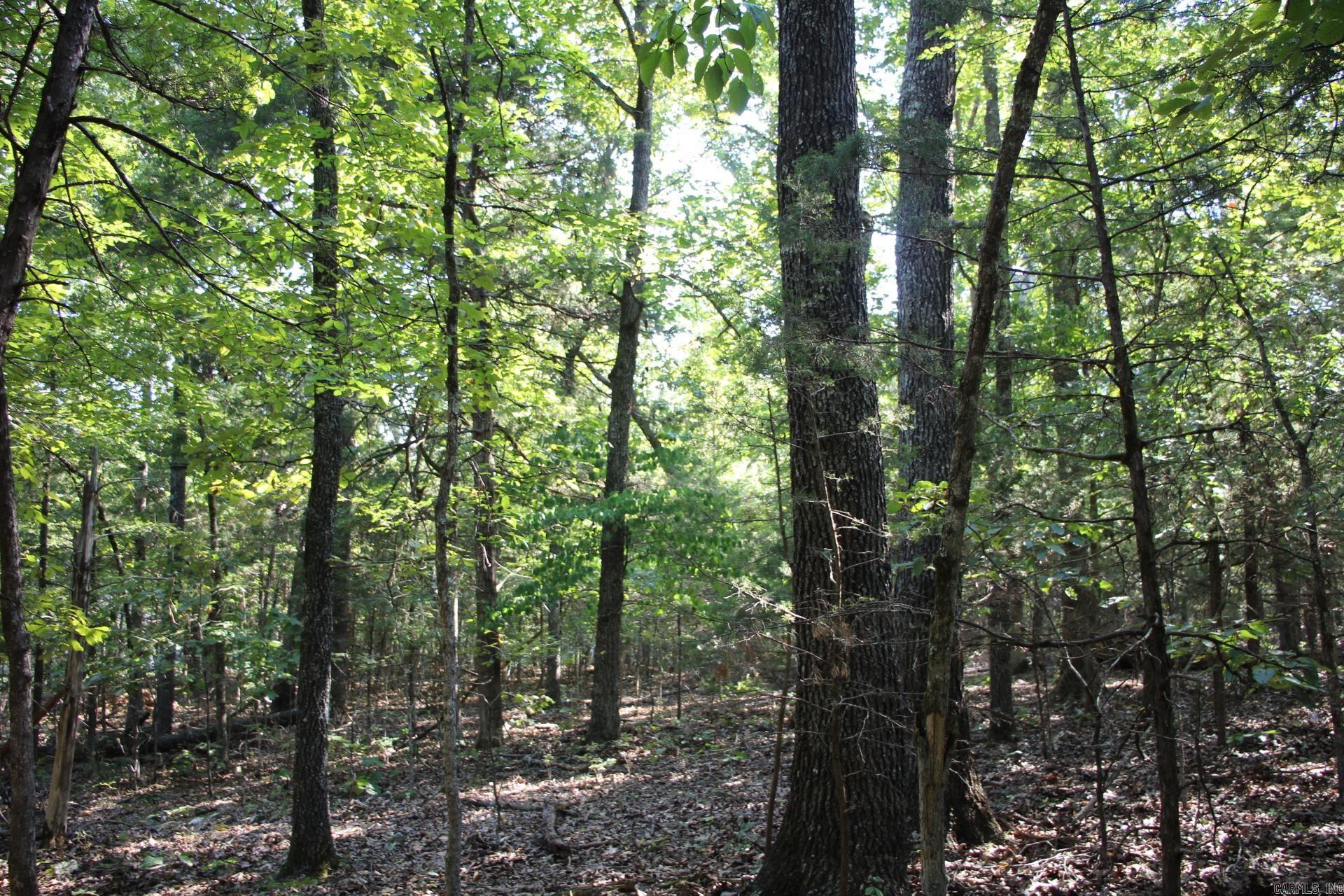Lot 38 Jeb Road Property Photo 5