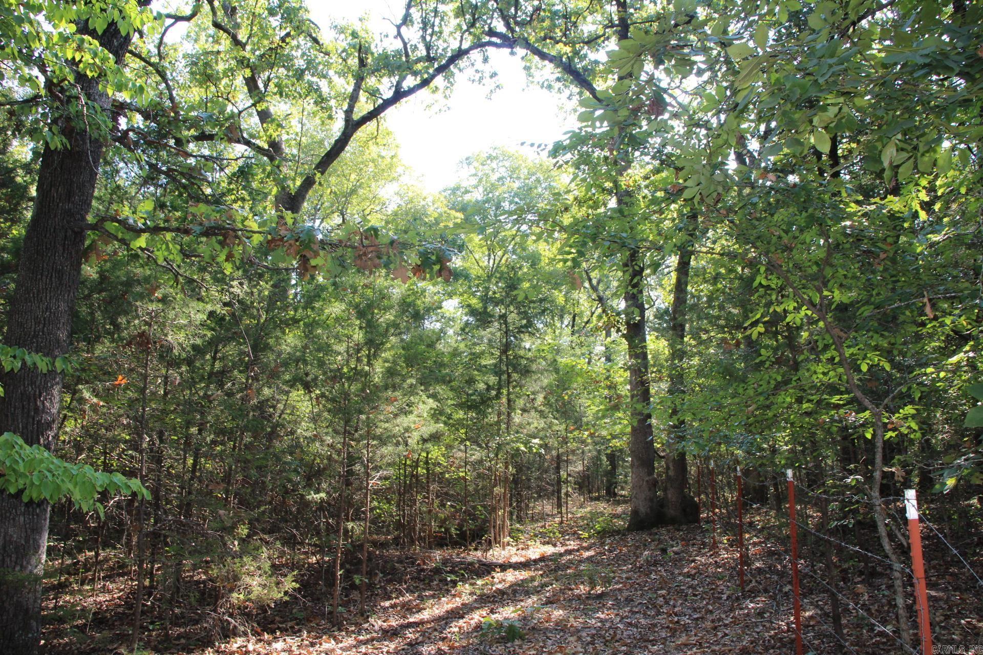 Lot 38 Jeb Road Property Photo 6