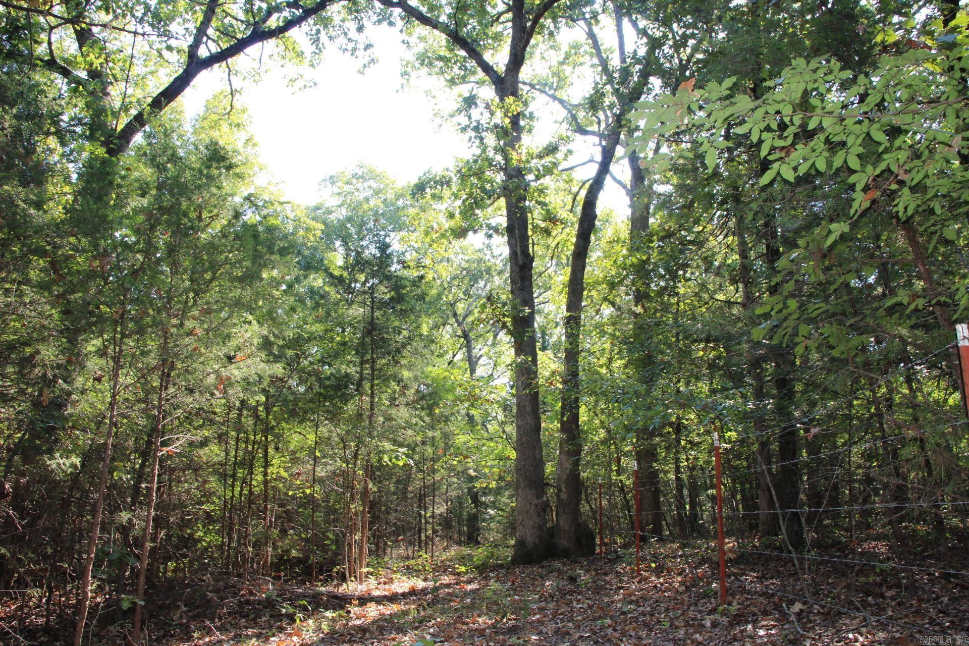 Lot 38 Jeb Road Property Photo 7