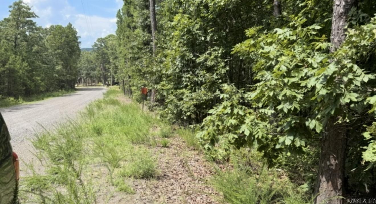 Lot 64 Lake Cliff Rd. Property Photo 4