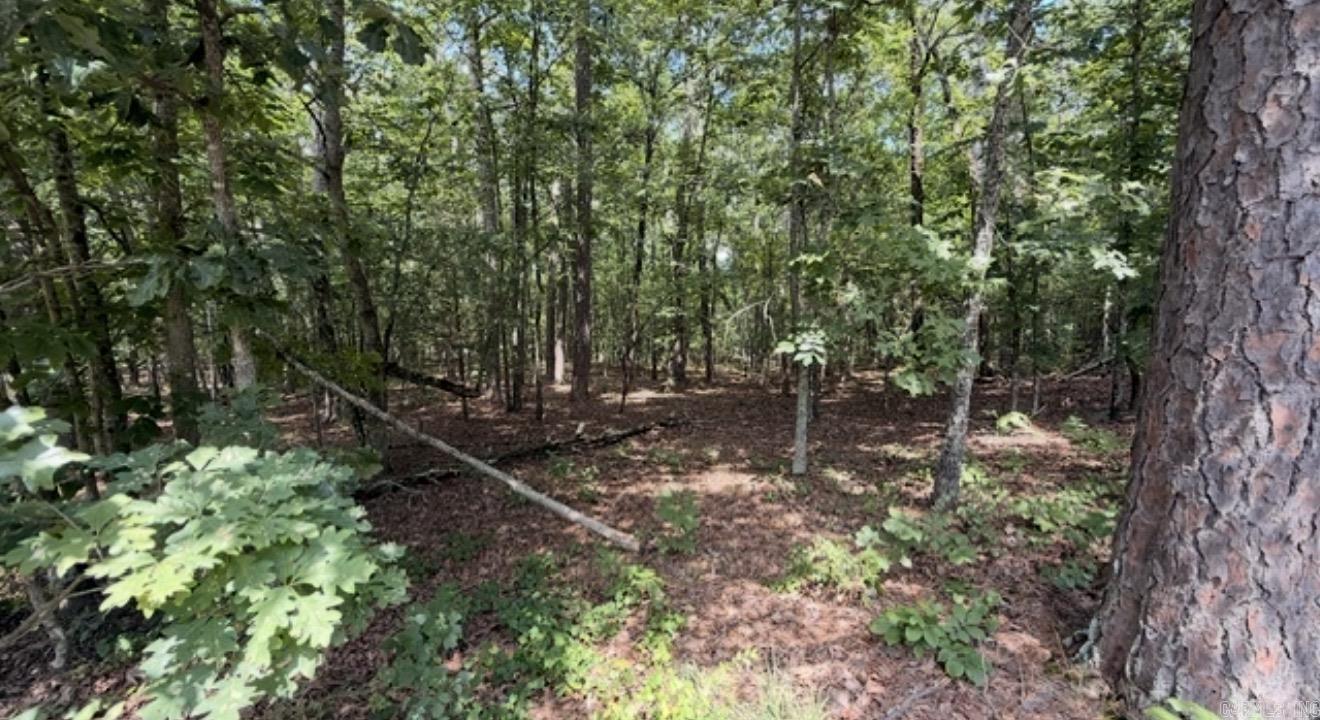 Lot 64 Lake Cliff Rd. Property Photo 5