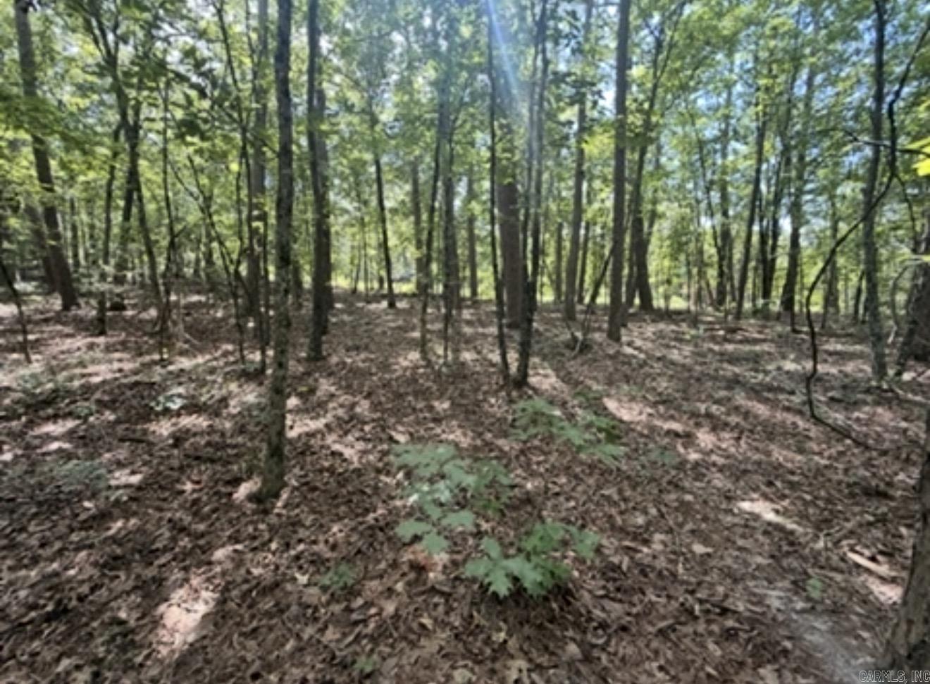 Lot 64 Lake Cliff Rd. Property Photo 6
