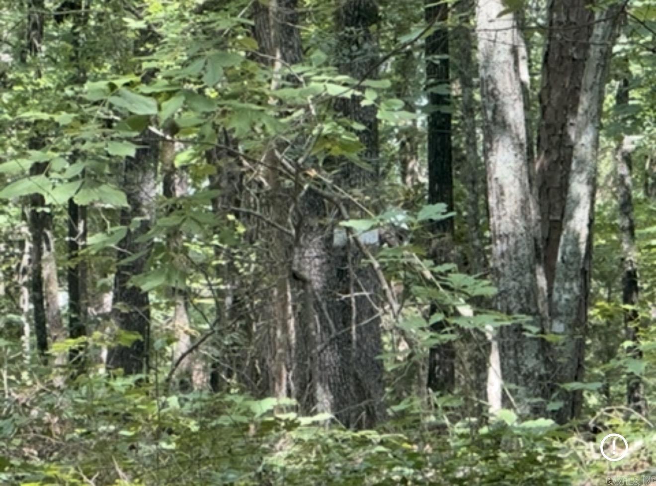Lot 64 Lake Cliff Rd. Property Photo 7