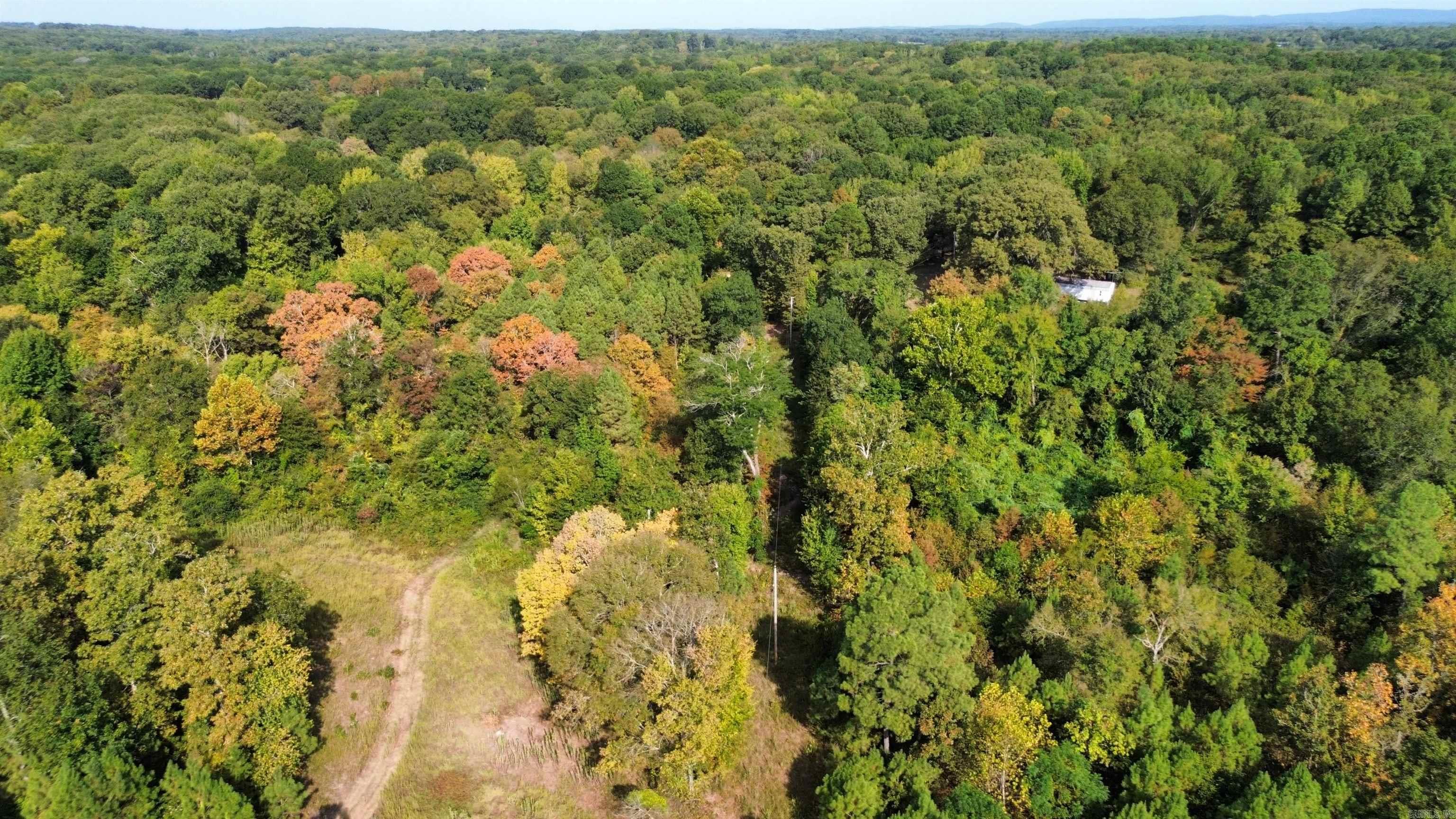 Tbd Palmetto Loop Property Photo 1
