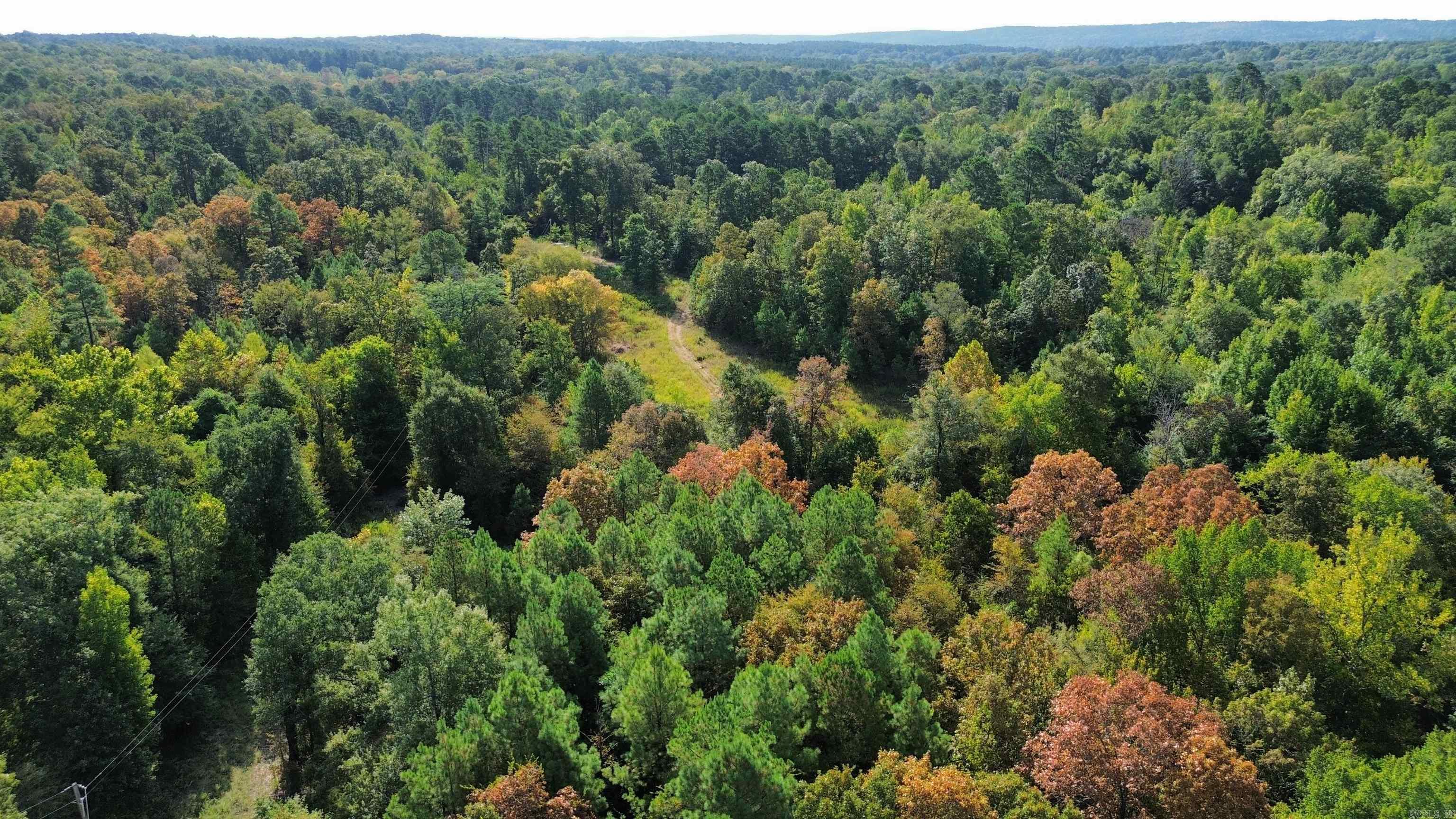 Tbd Palmetto Loop Property Photo 11