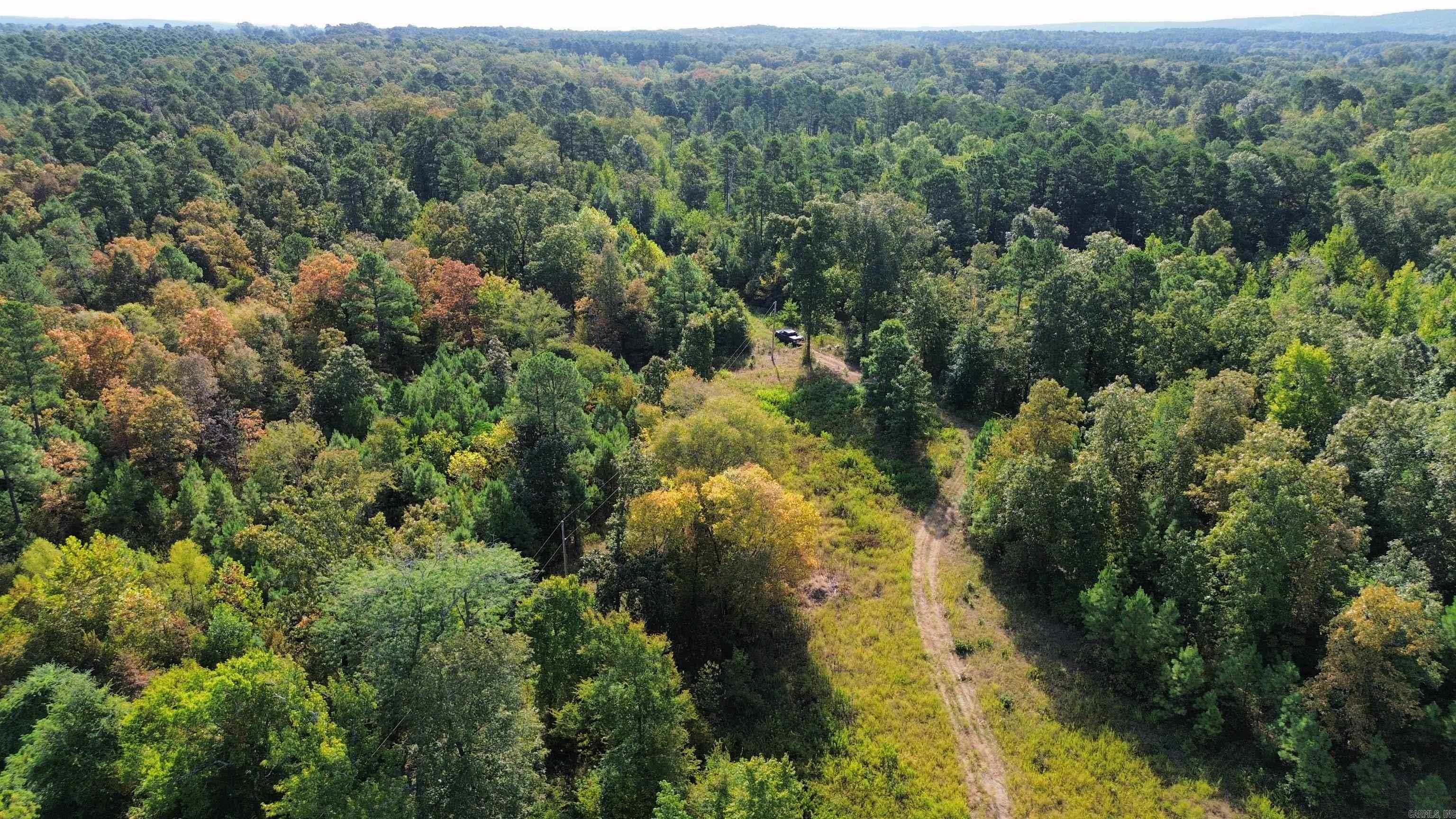 Tbd Palmetto Loop Property Photo 13