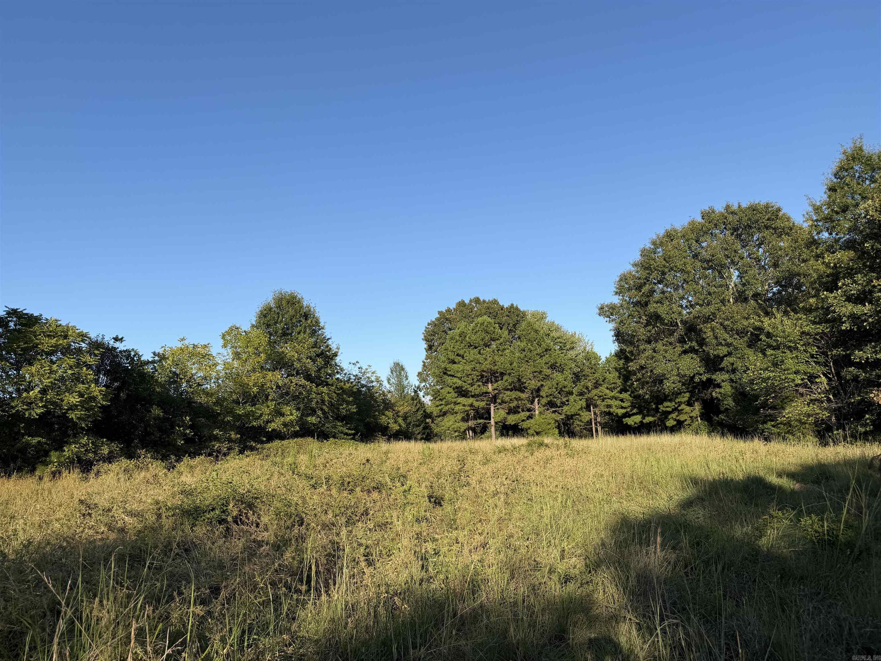 1418 Grassy Hollow Road Property Photo 41