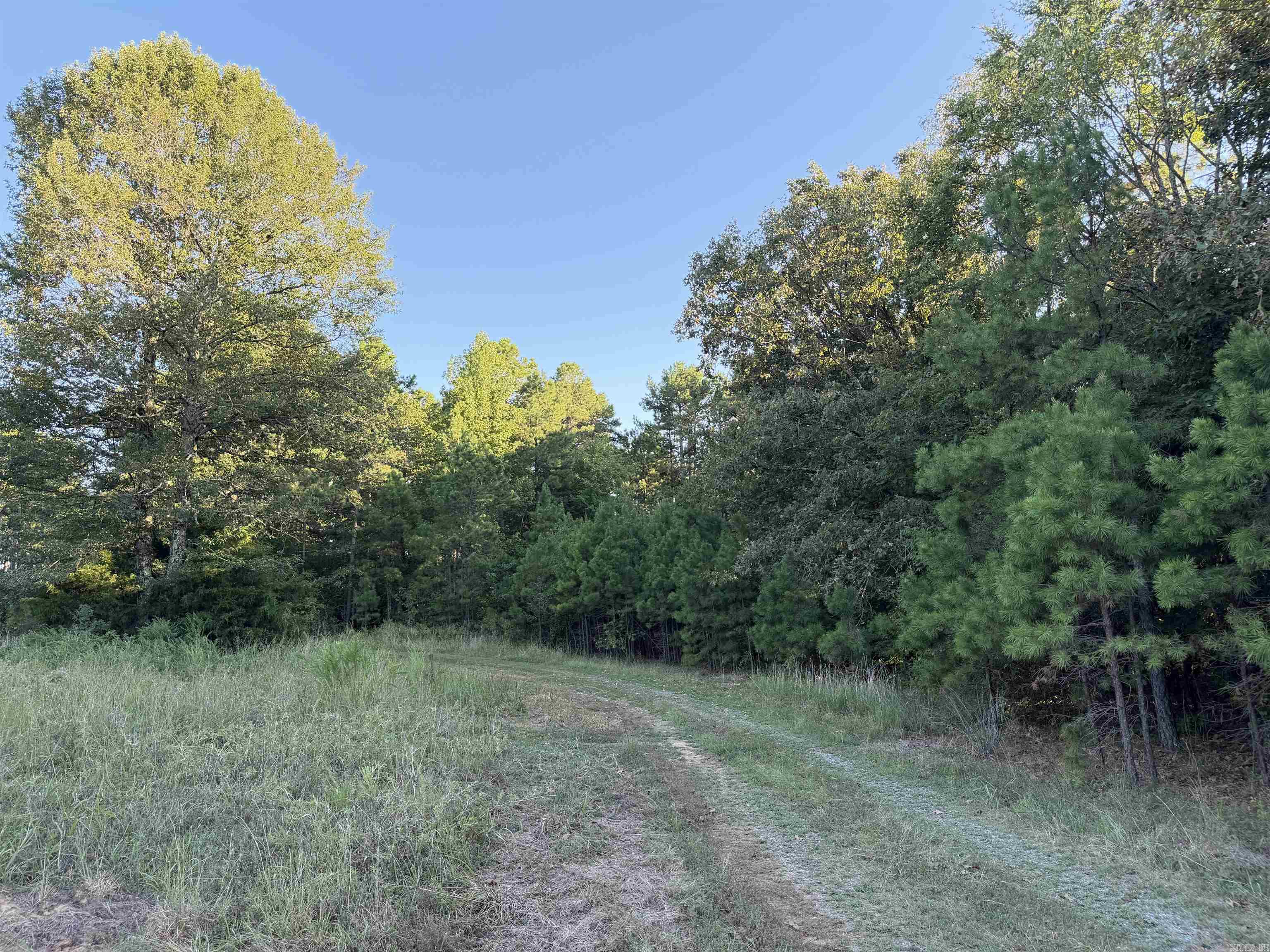 1418 Grassy Hollow Road Property Photo 42